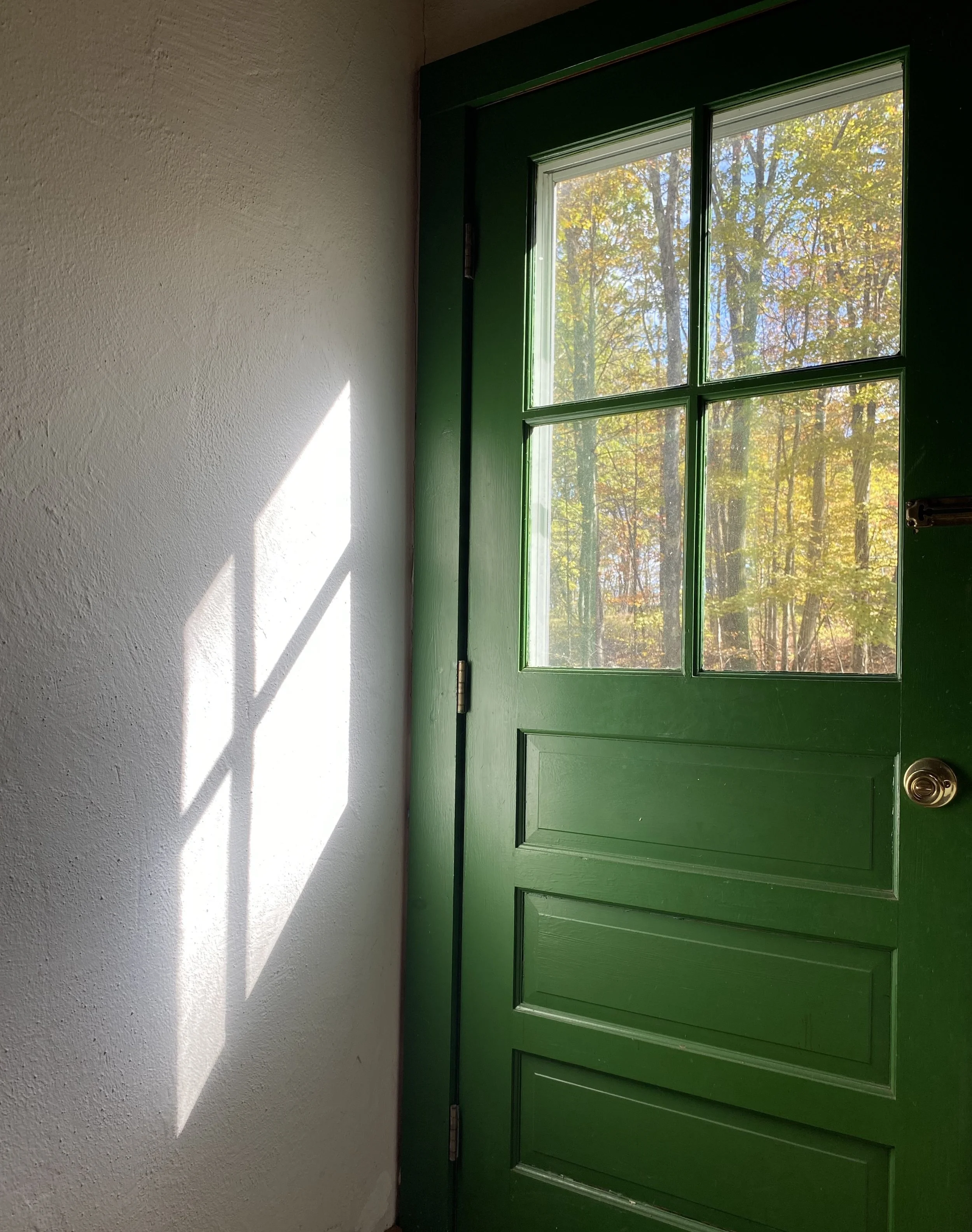 Green door with window panes showing trees with fall foliage, sunlight casting a shadow on a white wall.