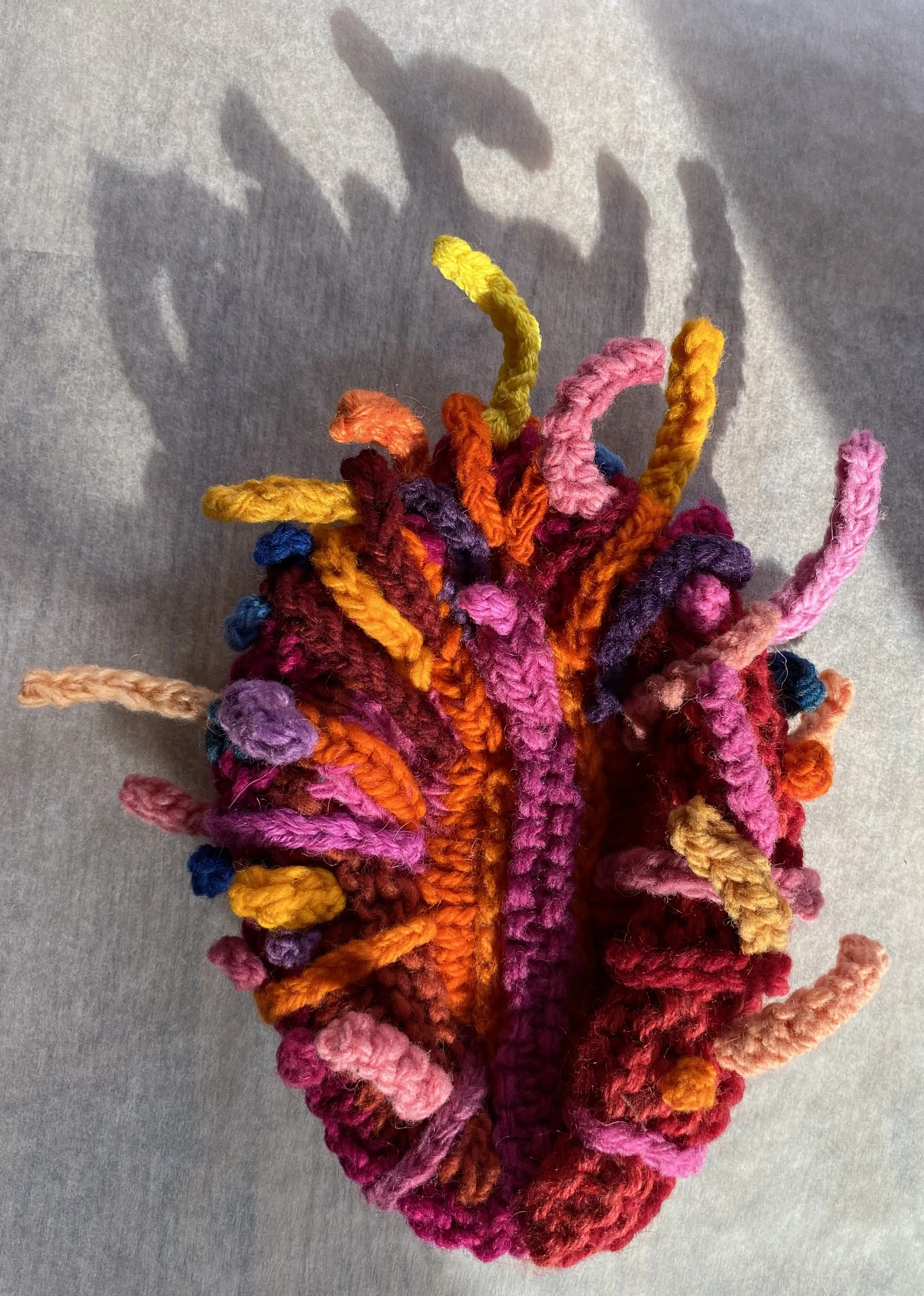 Spiny Oyster Small with shadow.jpg