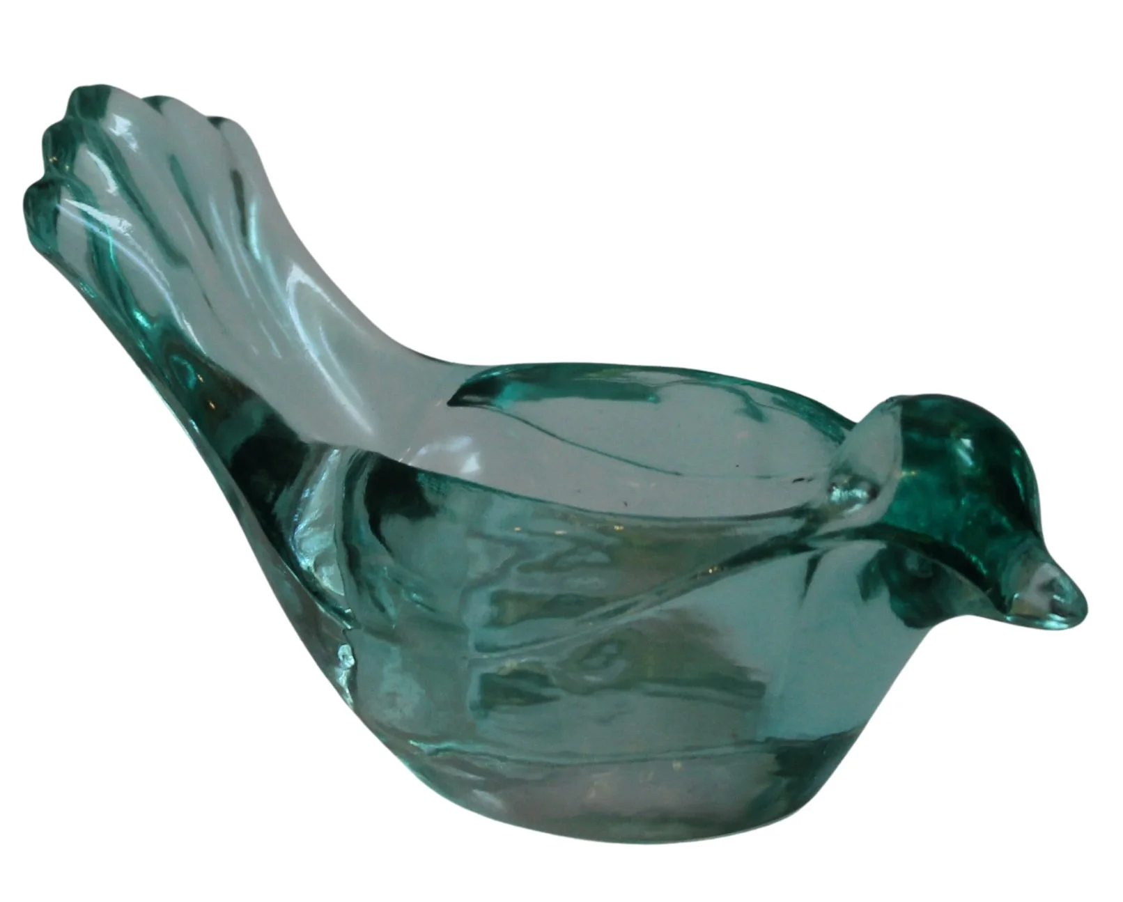 bluebird side no background 3.jpg