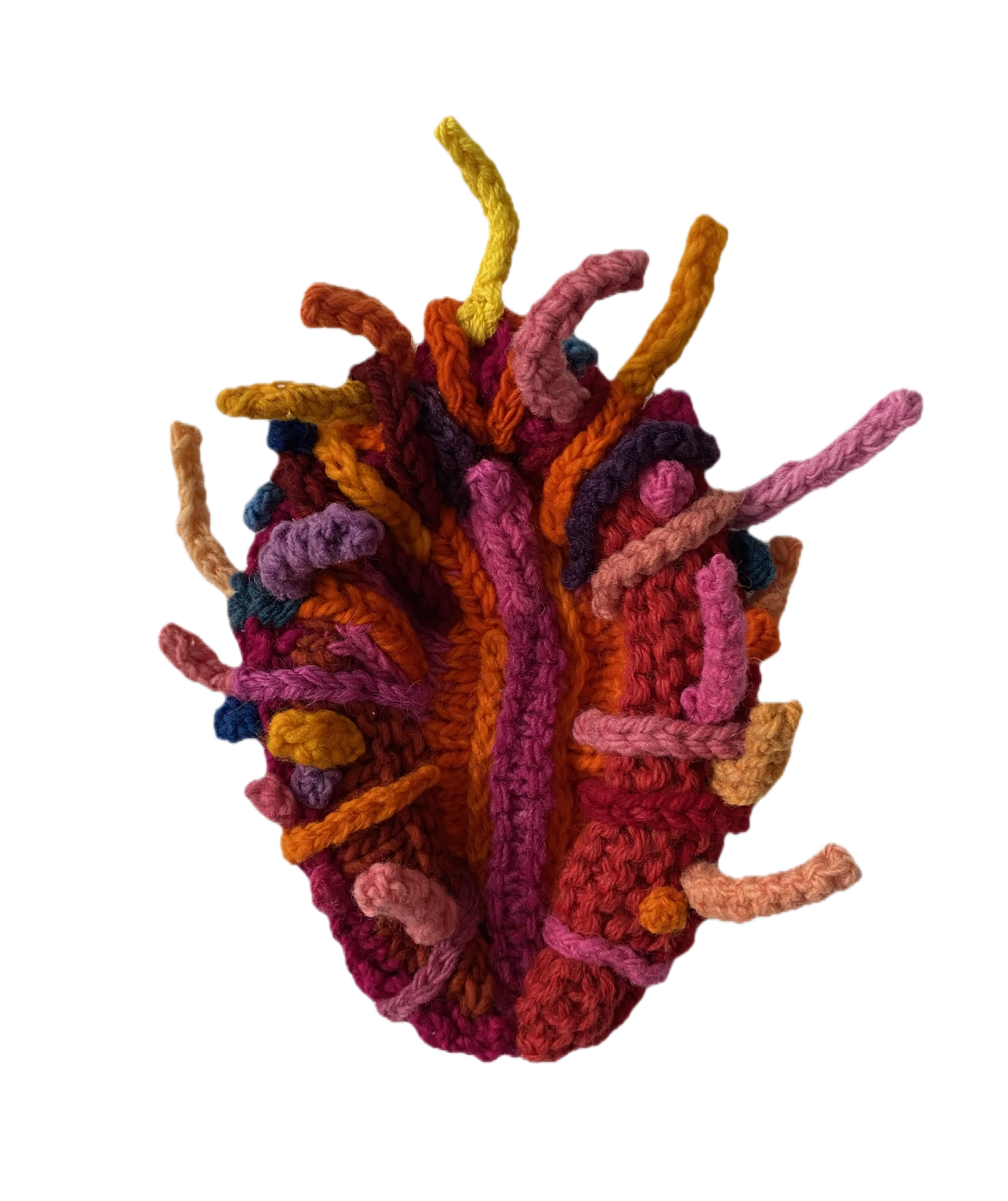 spiny oyster small good no background best.png