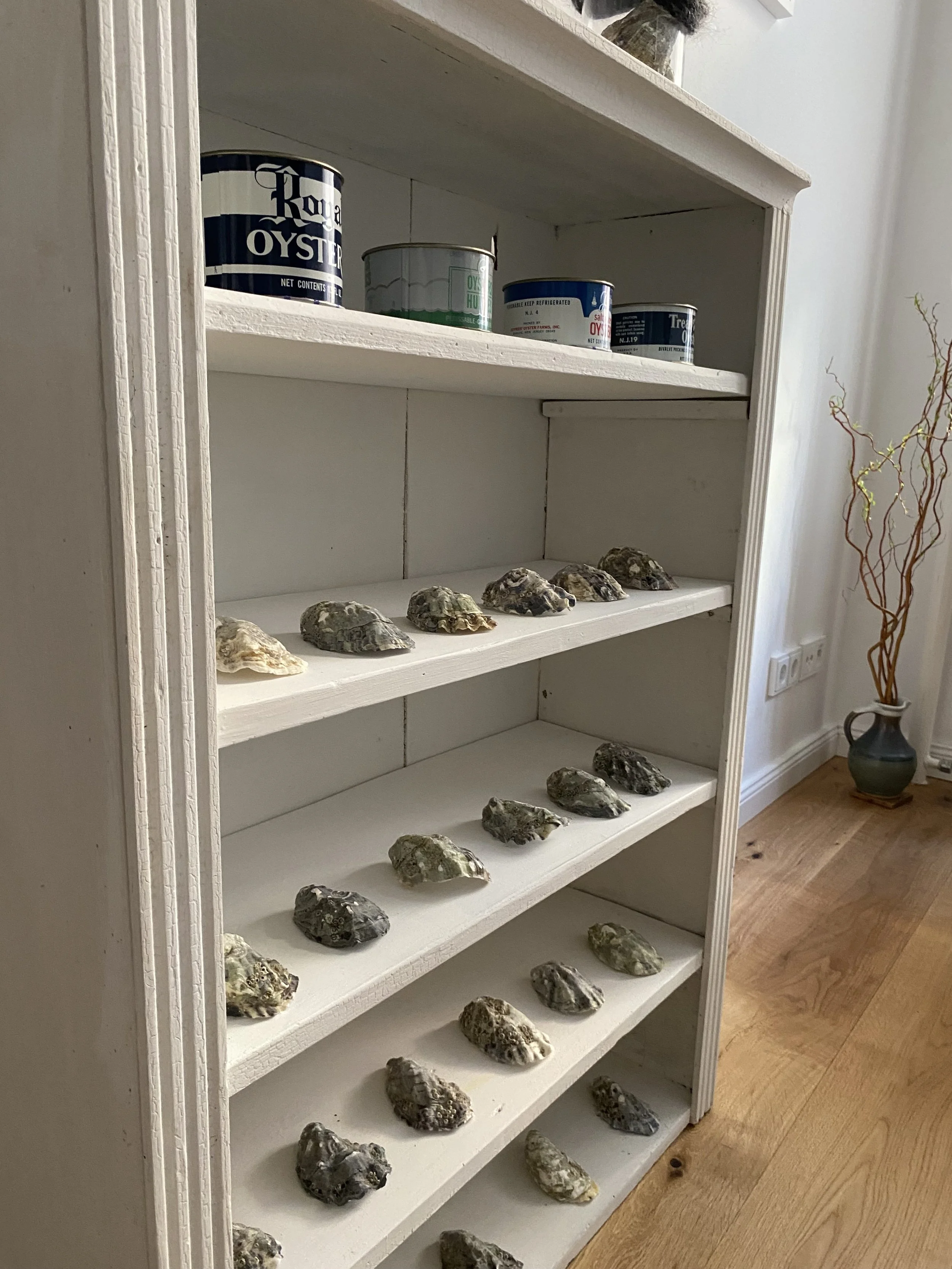 oysters on shelf with tin cans.jpg
