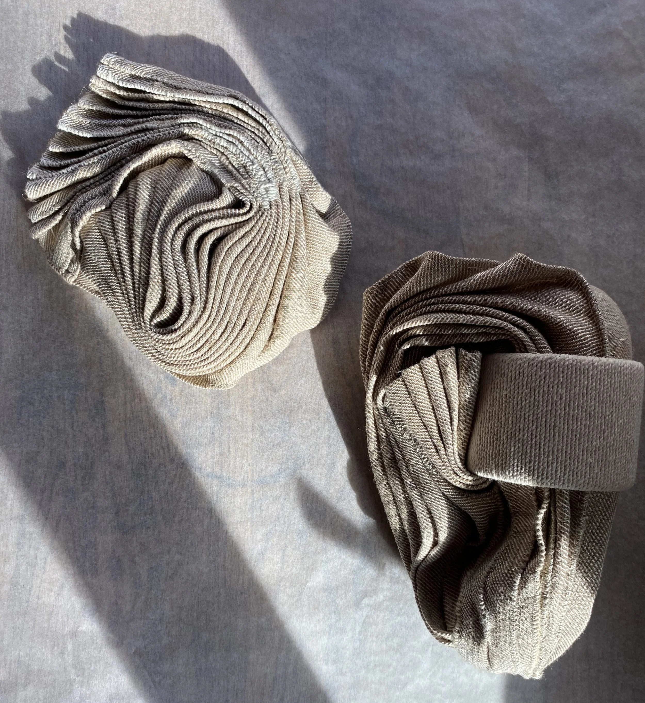 Pacific Oyster with shadow together.jpg