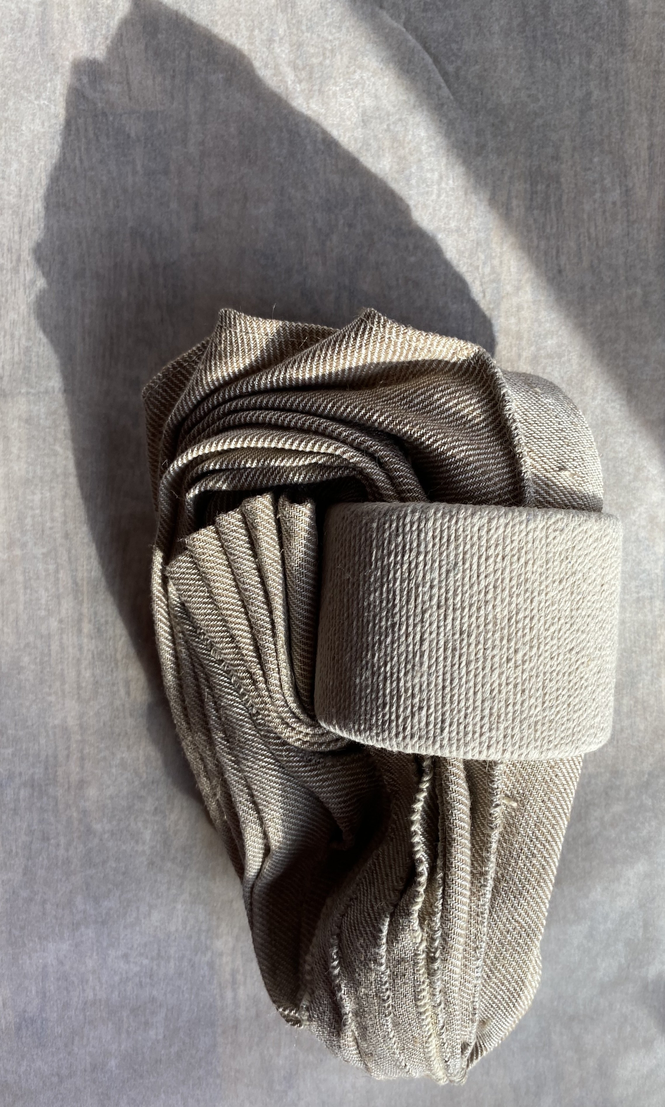 Pacific Oyster 2 with shadow.jpg