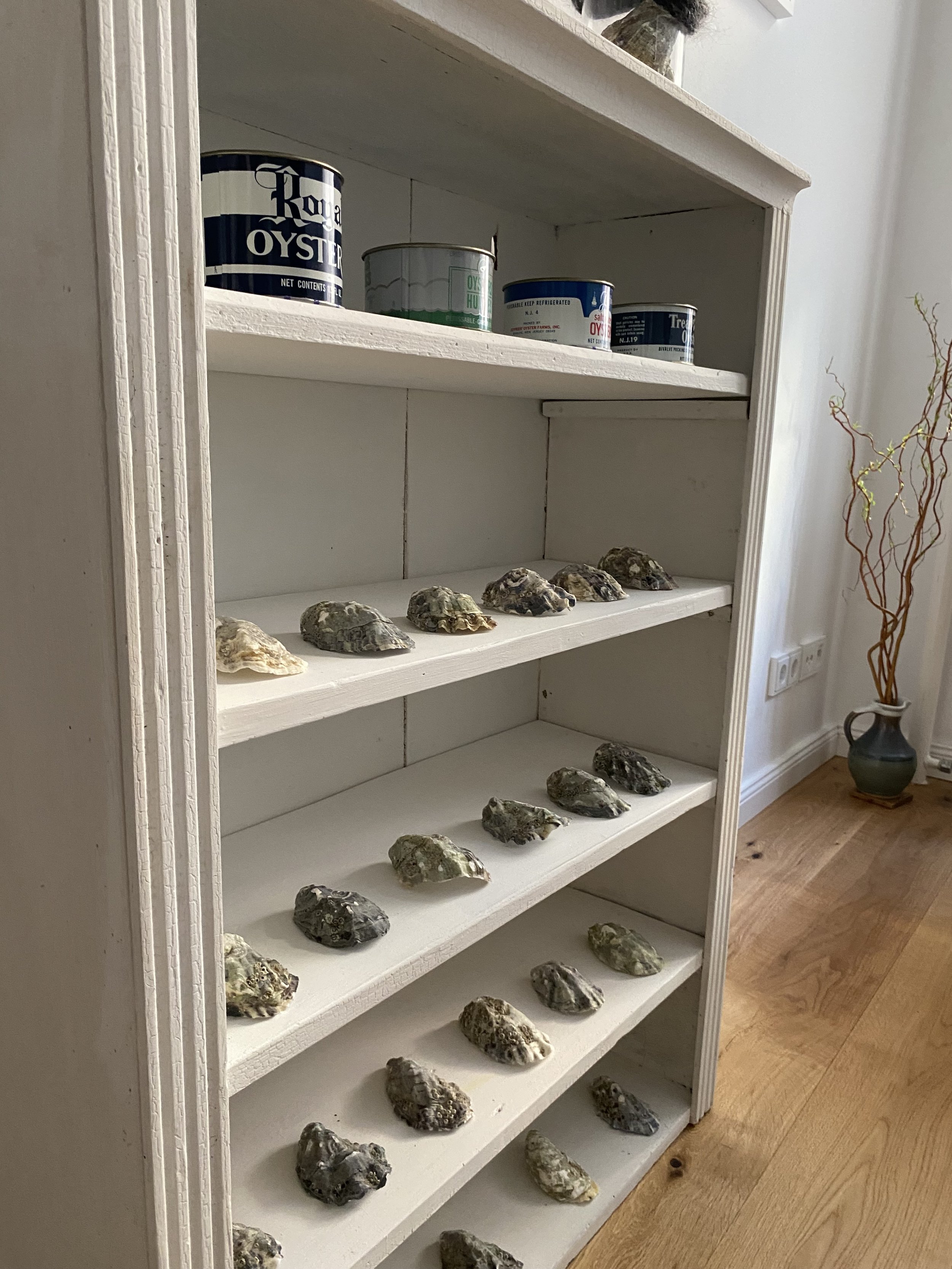 oysters on shelf with tin cans.jpg