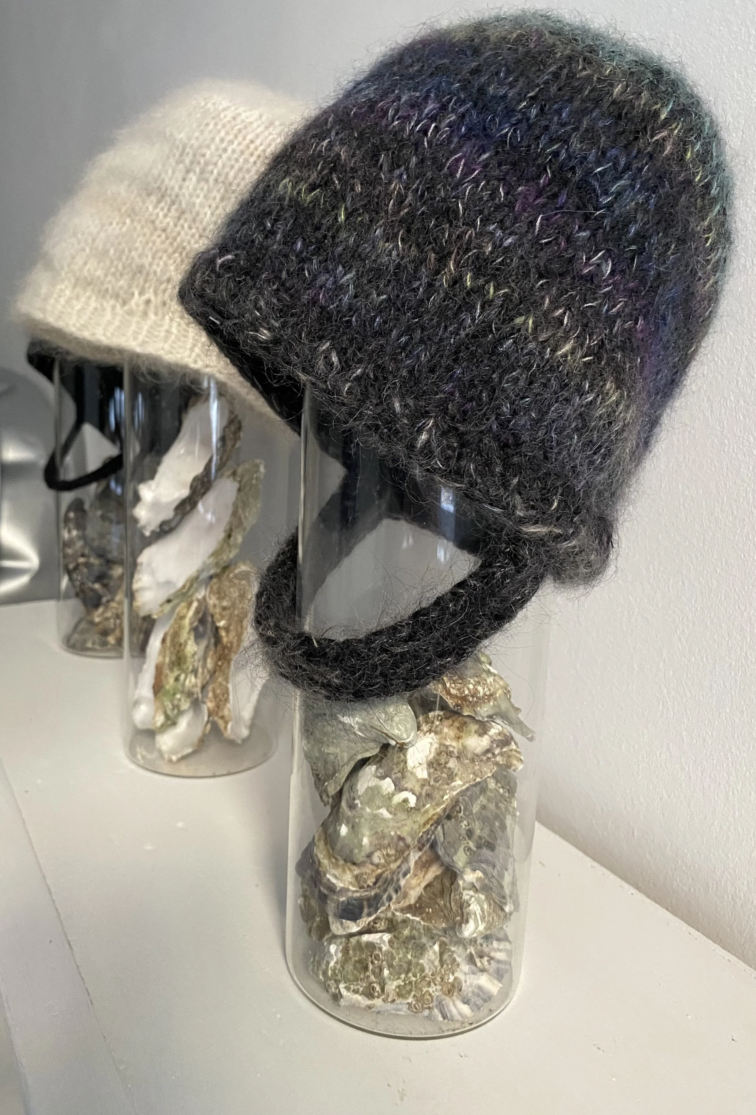 Gray oyster on stand in front of row good.jpg