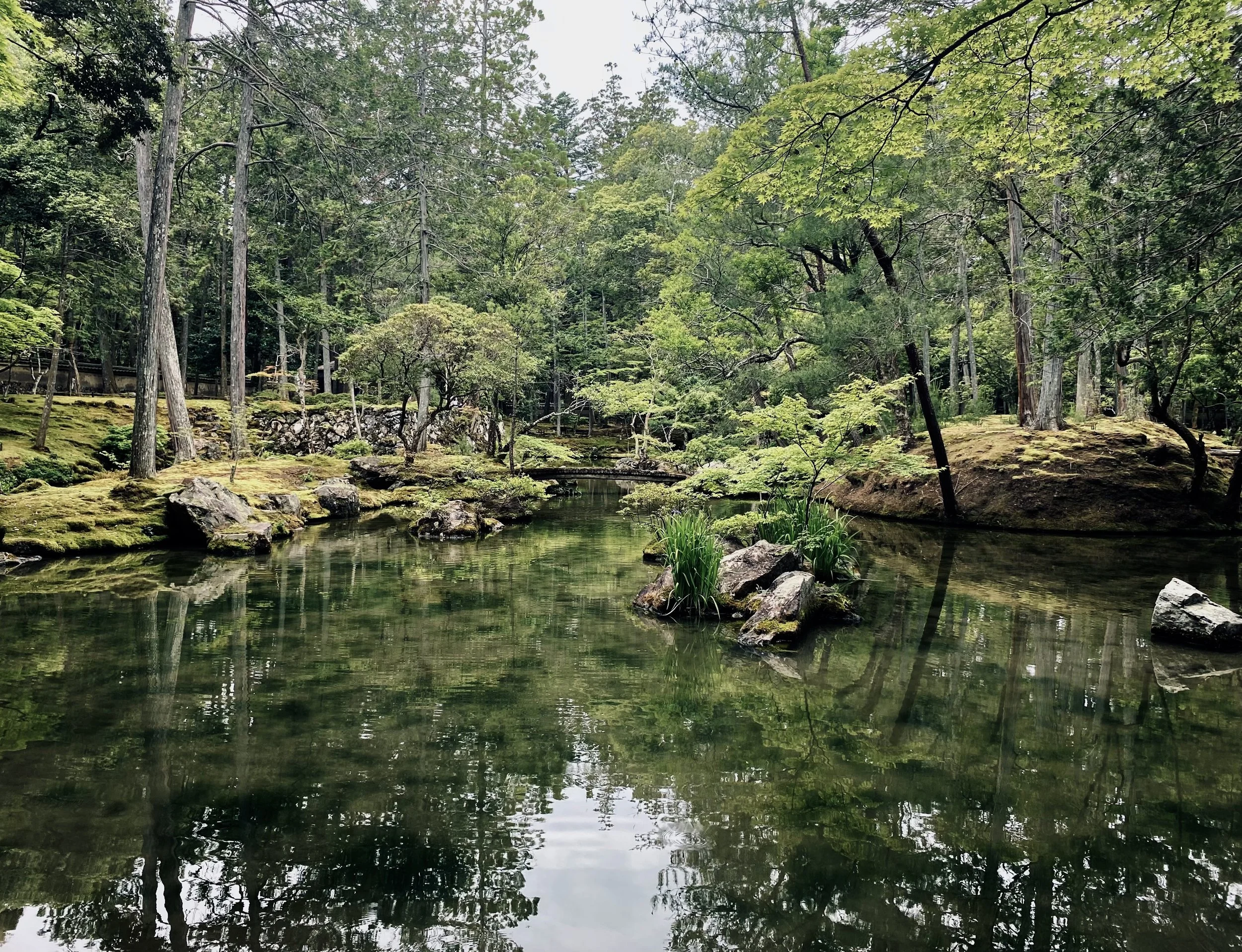 Moss Temple Trees Kyoto Water Reflection