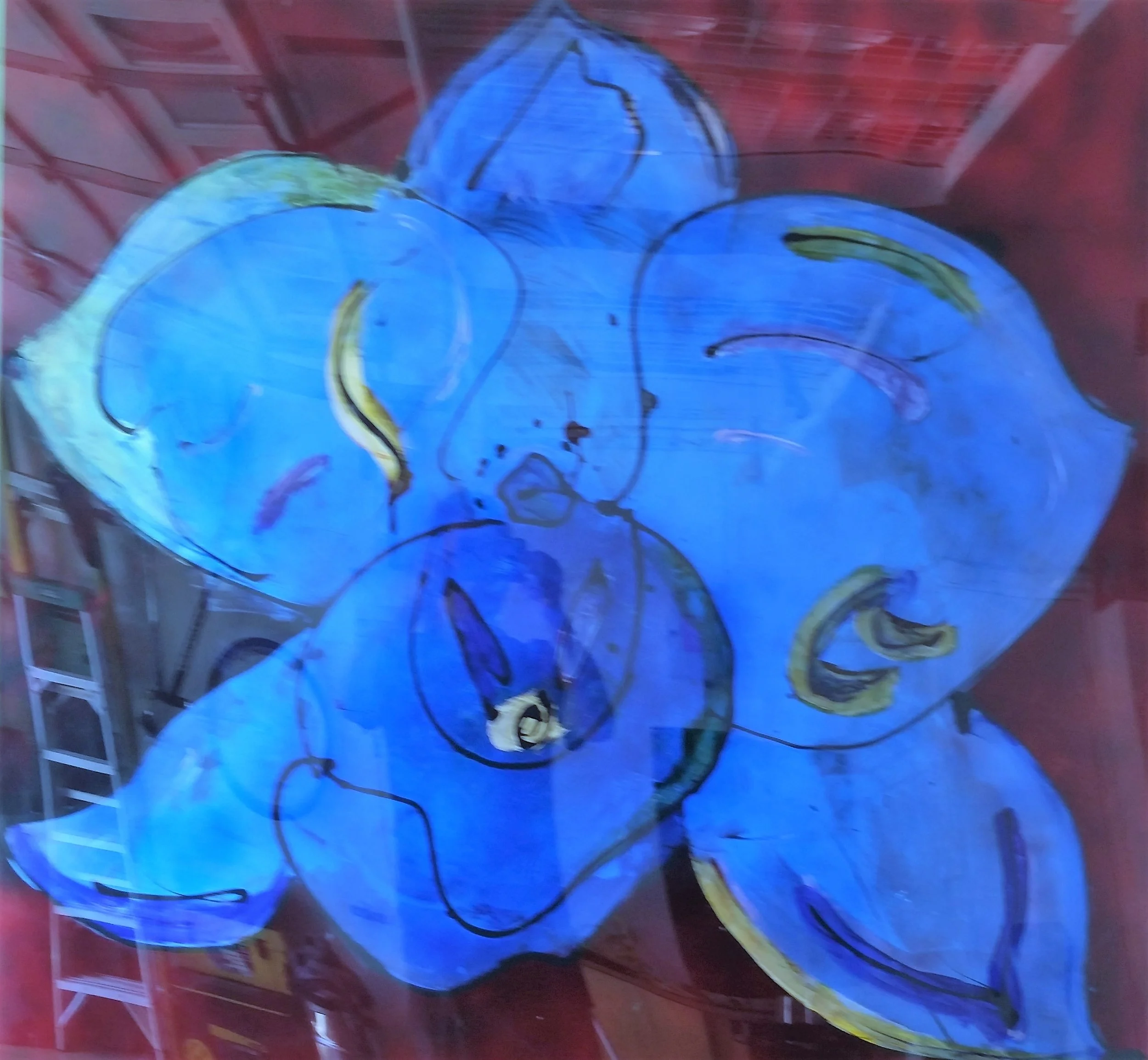 Blue Orhid.jpg