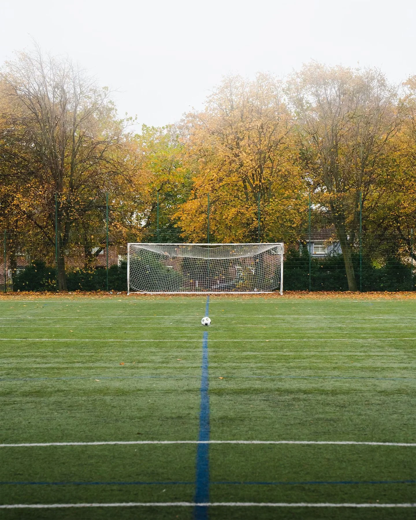 @afc.walton.lions 🔥