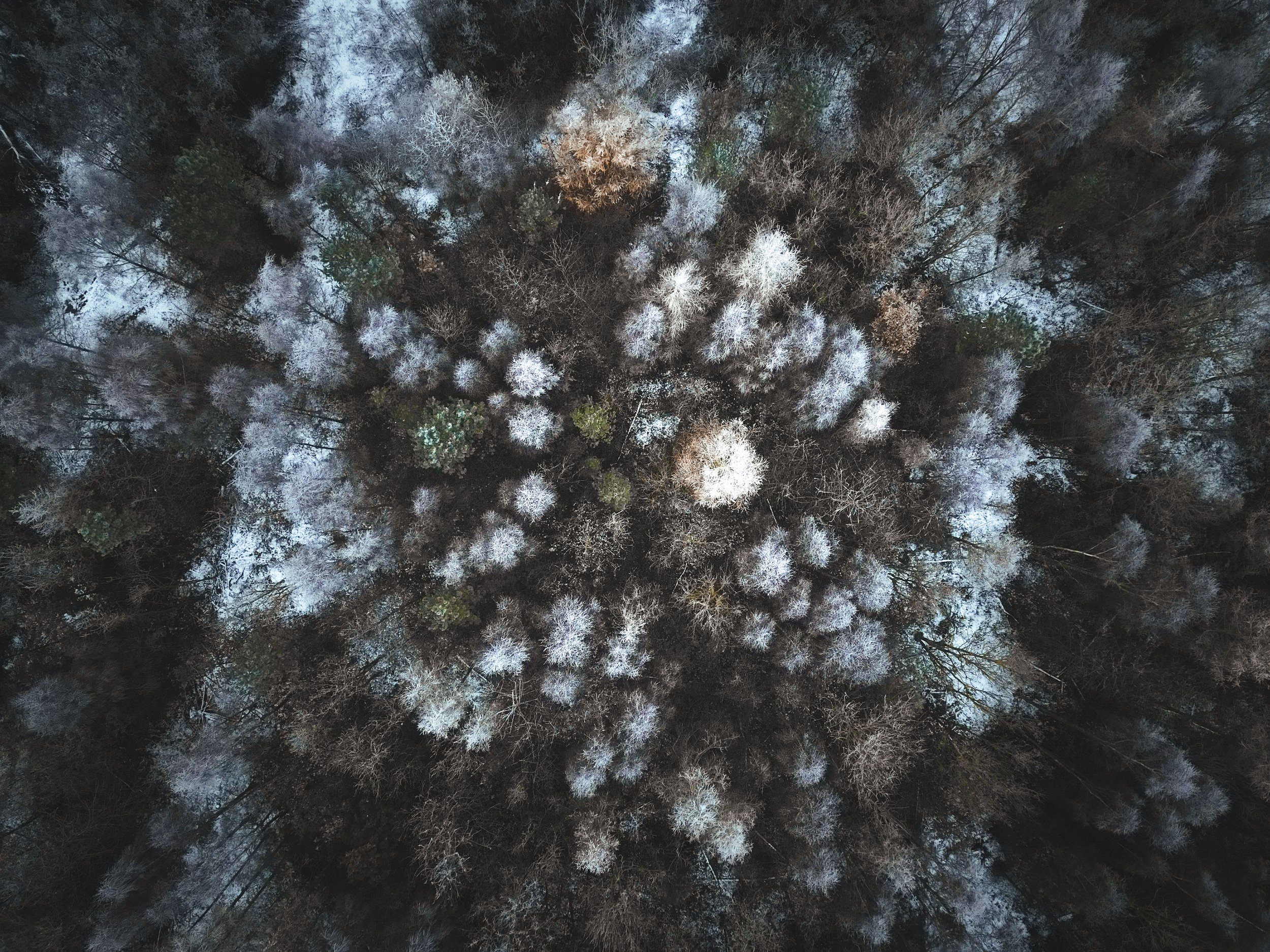 DJI_0111.jpg