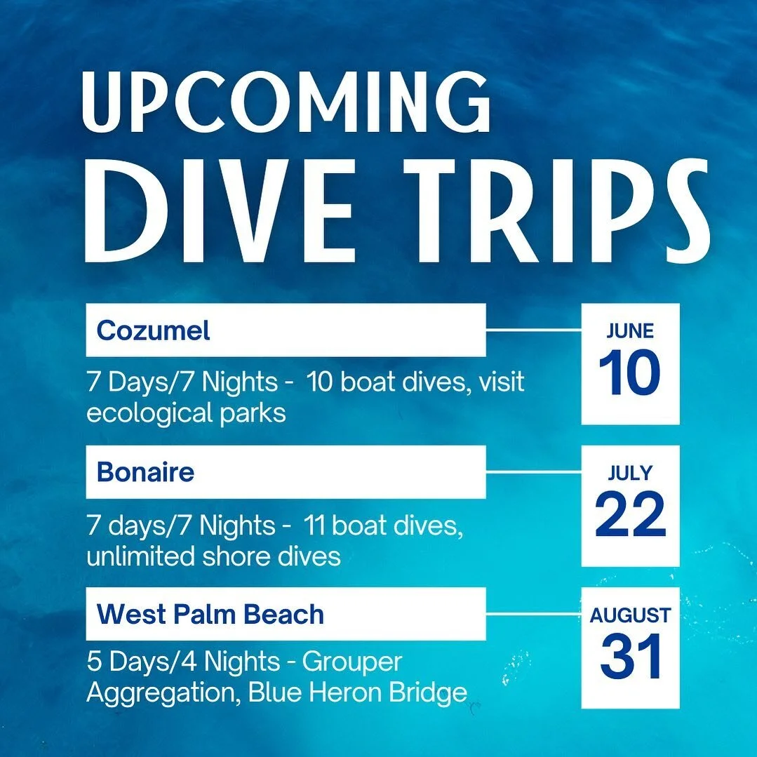 Bozeman’s Premier Dive Center Scuba Bozeman