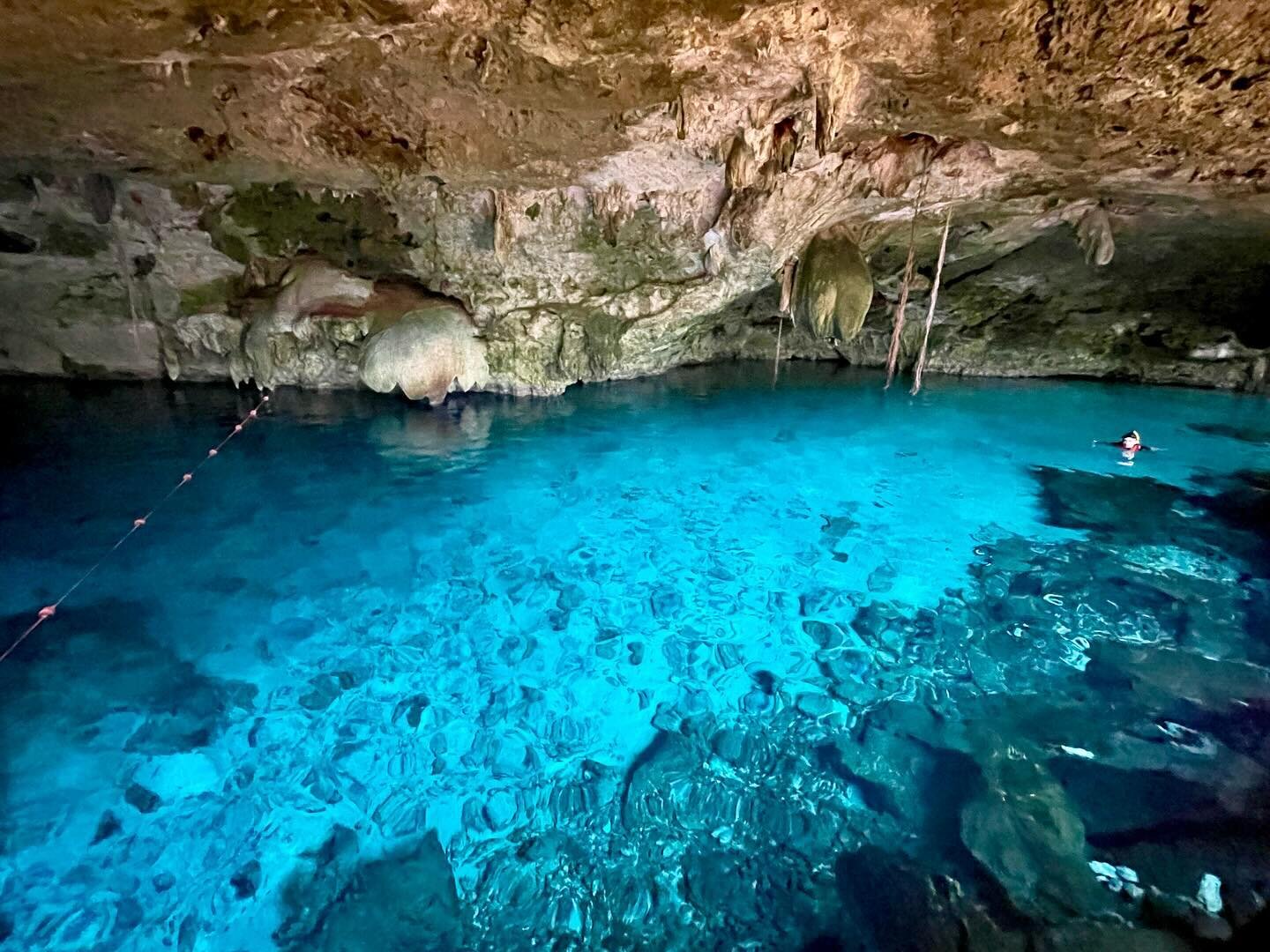 Quick trip over to the cenotes to dive Dos Ojos 😍🤿
#cenotes #dosojos #cenotediving #m&eacute;xico #cozumel #scuba #scubadiving #scubaclt #scubashacknashville #scubabozeman #scubashackusa #travel #adventure #charlottenc