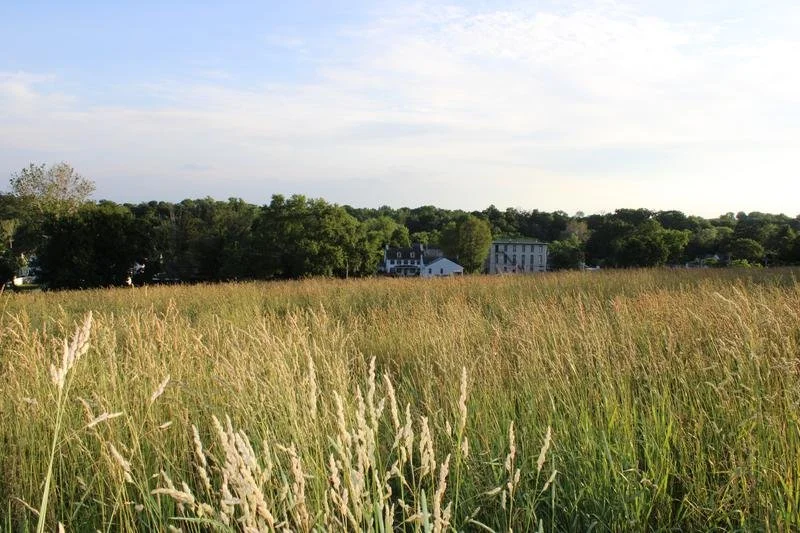 Save The Hulmeville Hill