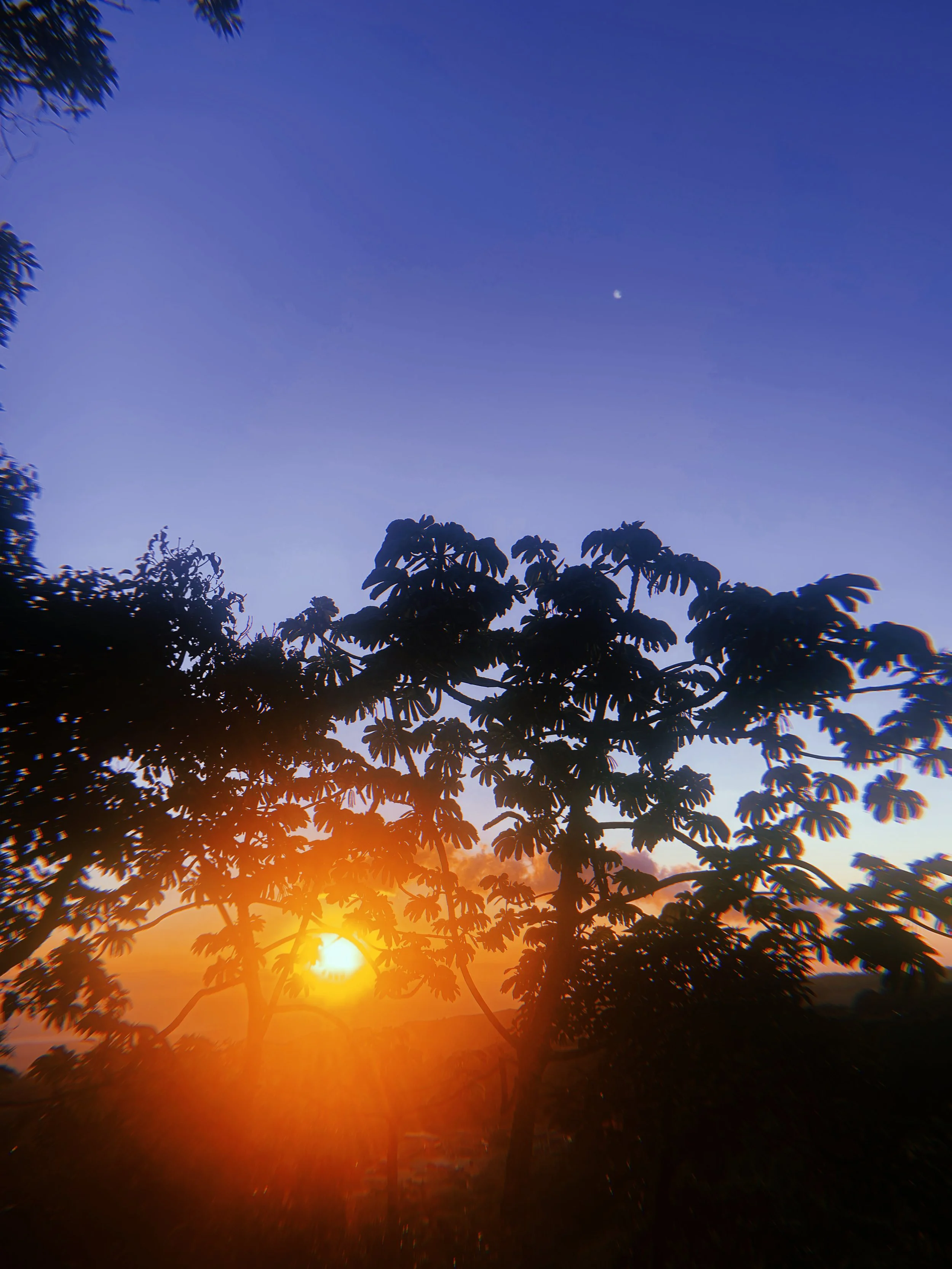 Lisa Potter-Dixon_CostaRica. Travel Blog_Glamping Sunset.JPG.jpg