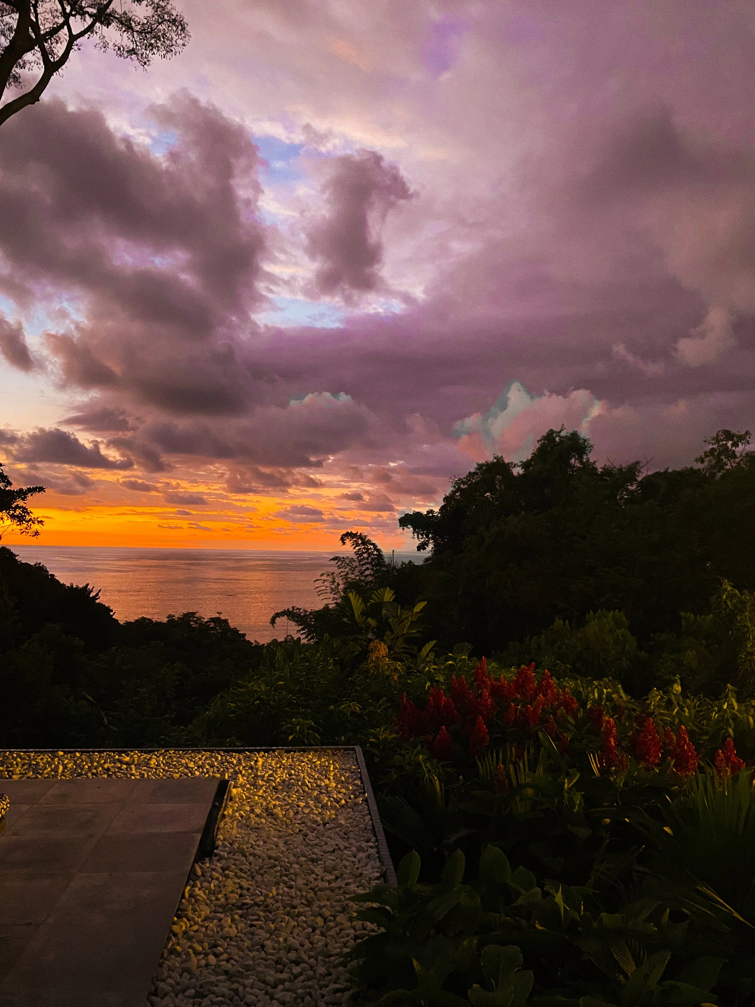 Lisa Potter-Dixon_CostaRica. Travel Blog_Makanda Hotel4.JPEG.jpeg