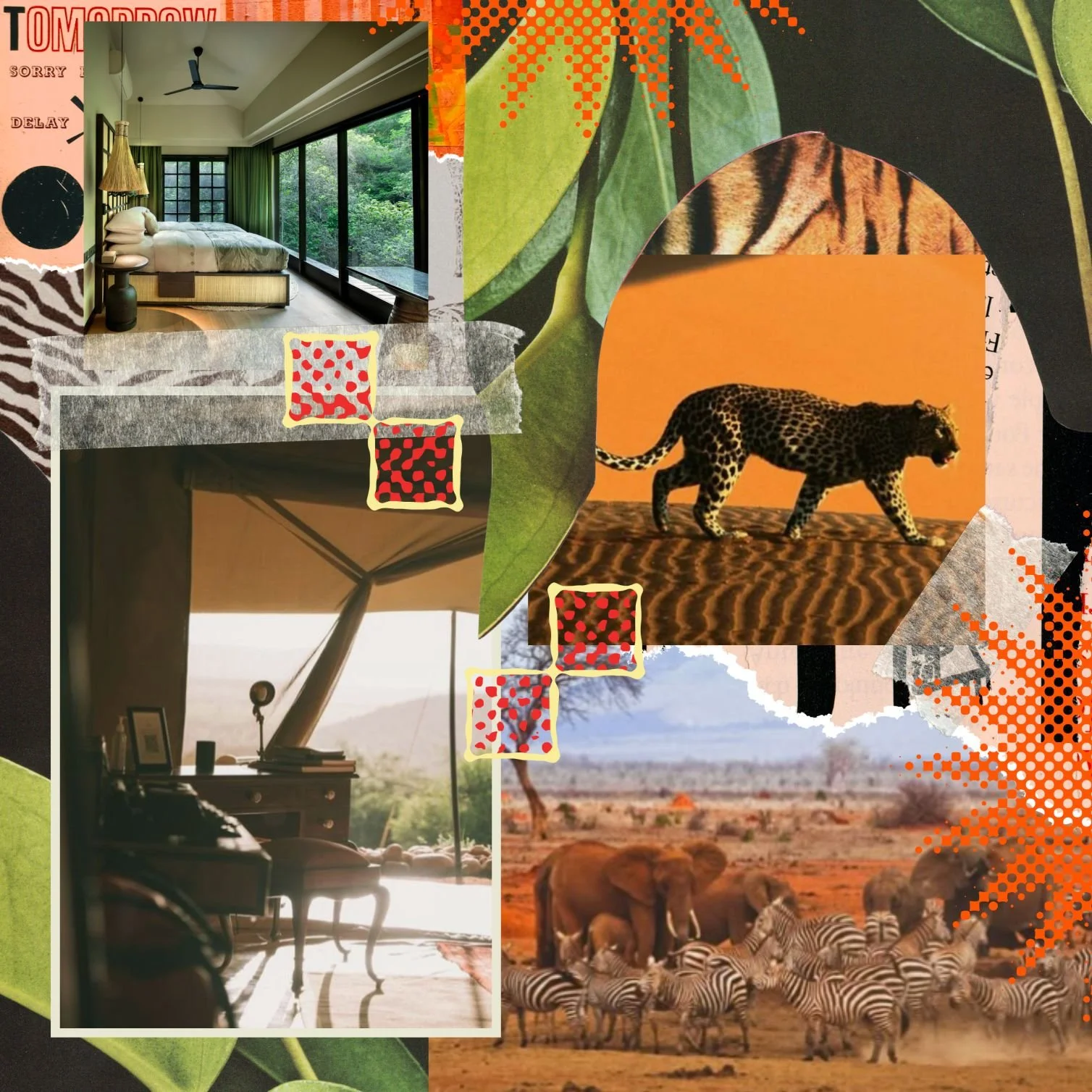 My Life-Changing Safari Experience in Ngala with &amp;Beyond