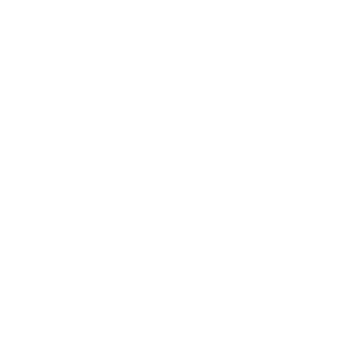 Program Icon
