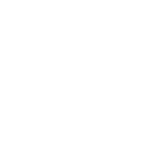 Program Icon