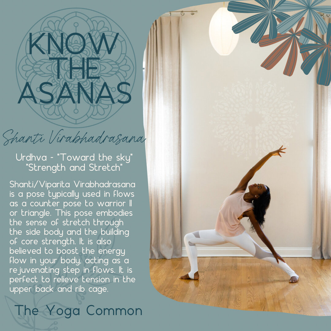 🪴Know the Asanas🪴​​​​​​​​
Shanti Virabhadrasana, or Peaceful Warrior Pose, is also called Urdhva Virabhadrasana from the root Urdhva meaning &ldquo;Toward the sky&rdquo;. The focus of this pose is to embody two main aspects of the pose, Strength an