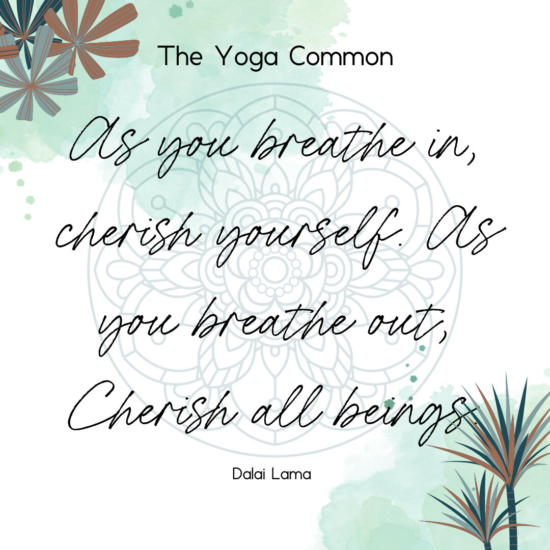 🪴&rdquo;As you breathe in, cherish yourself. As you breather out, cherish all beings.&rdquo;🪴​​​​​​​​
Dalai Lama​​​​​​​​
🪴​​​​​​​​
Many people are champions of self care, and cherishing yourself is such an integral part of yoga practice and living