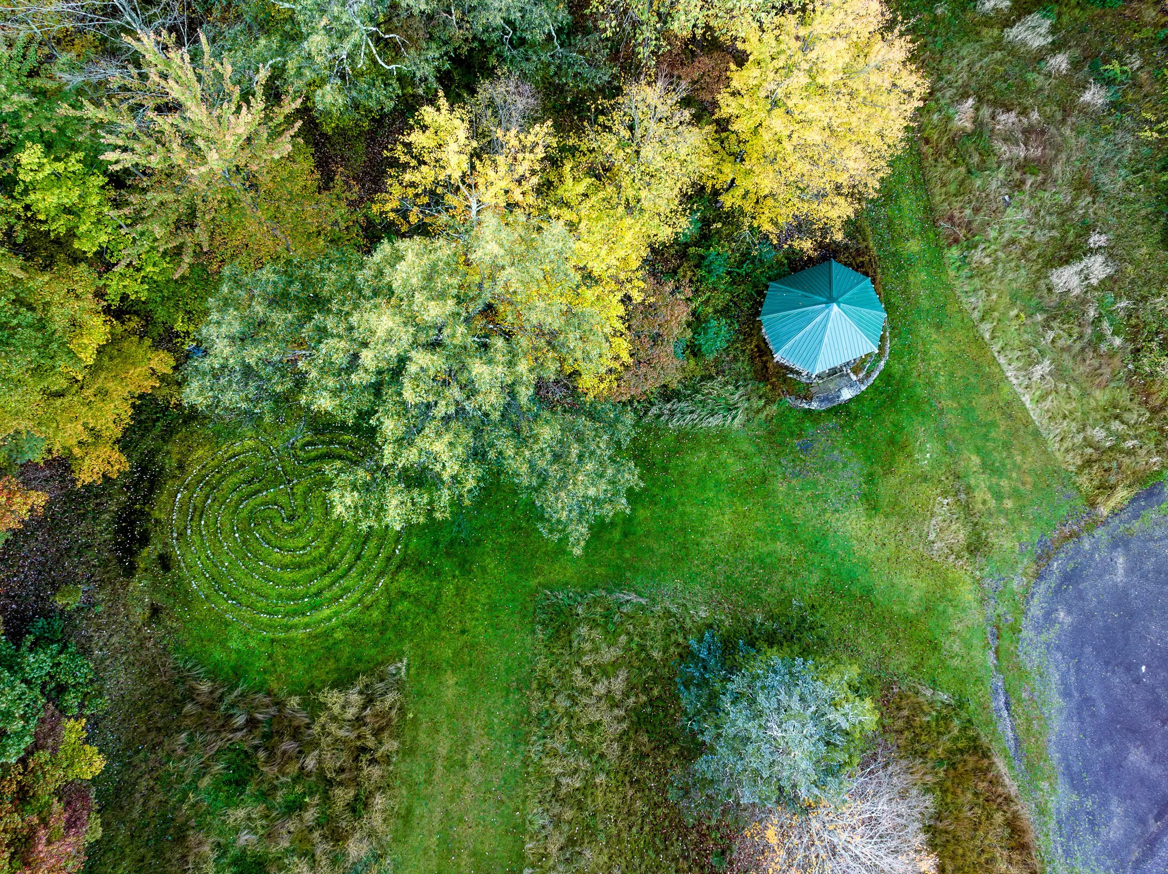 The Quiet Invitation of Spring