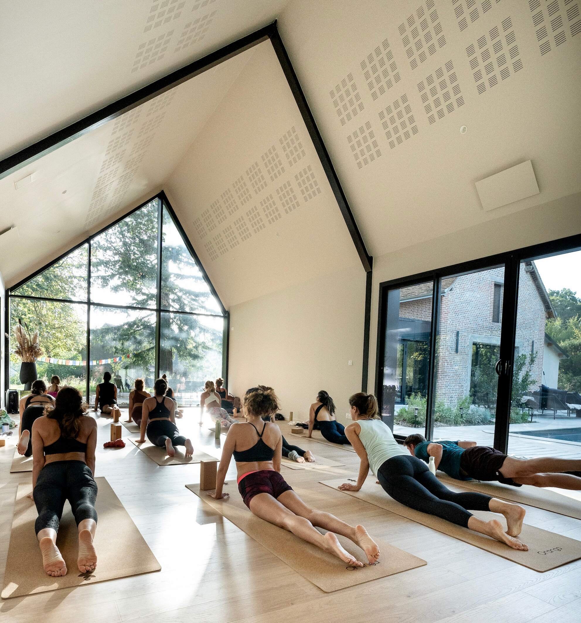 Yoga shaha 2.jpg