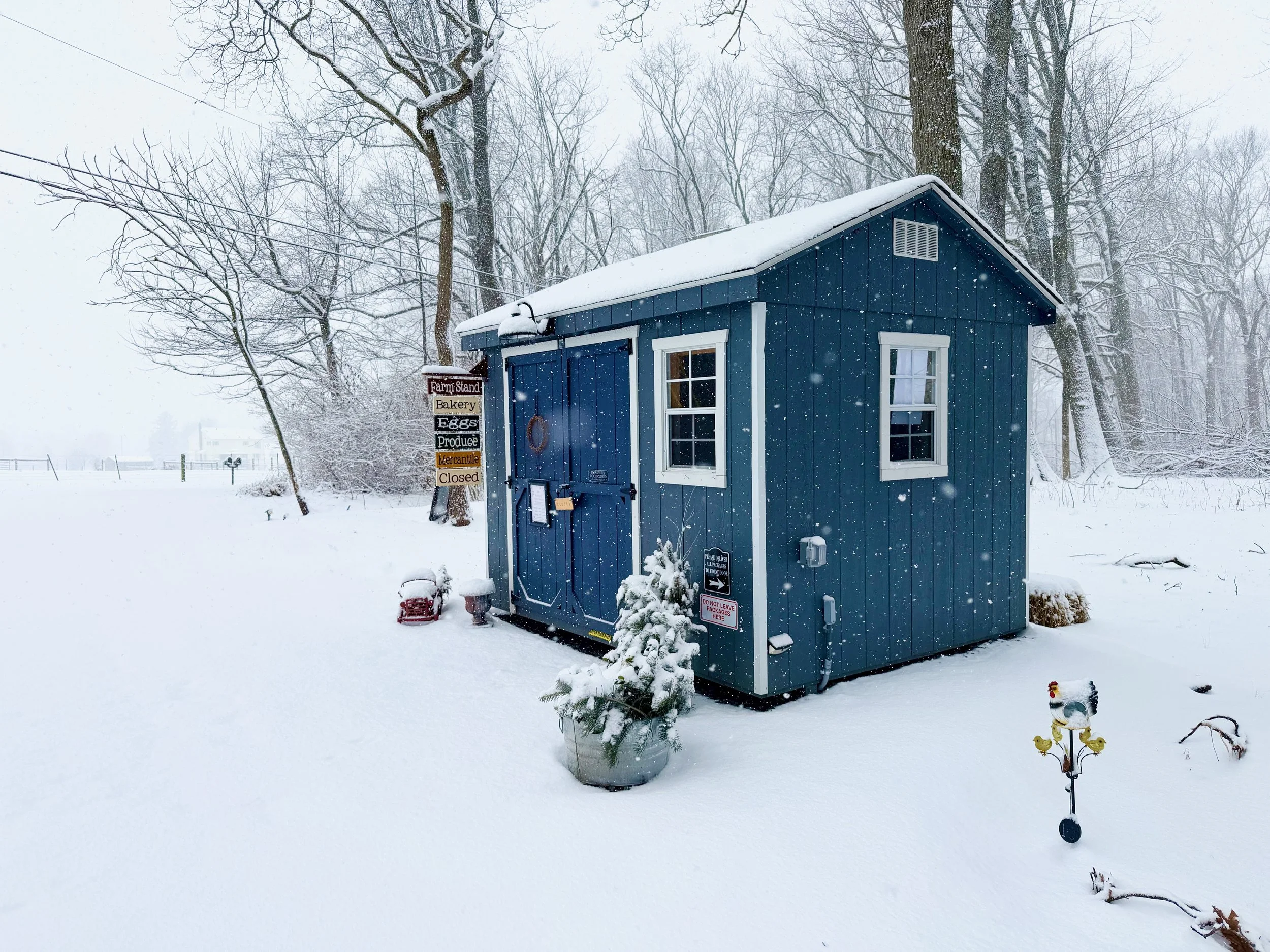 A Ground Hog named Phil is on my List