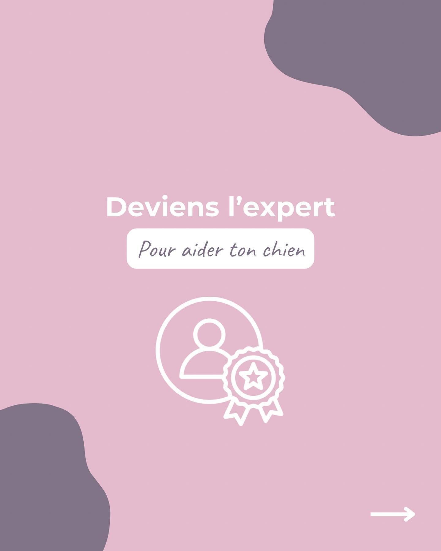 🔥 &Agrave; toi de jouer et de devenir l'expert de ton chien 🔥 

Tu souhaites en faire encore plus ? R&eacute;serve ton appel d&eacute;couverte en bio! 📲

#educationpositive #educateurcanin #educationcanine #educationbienveillante #comportementcani