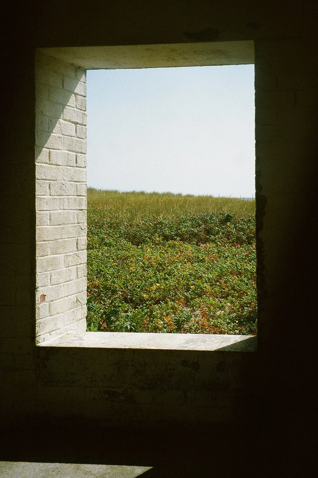 analog-20.jpg