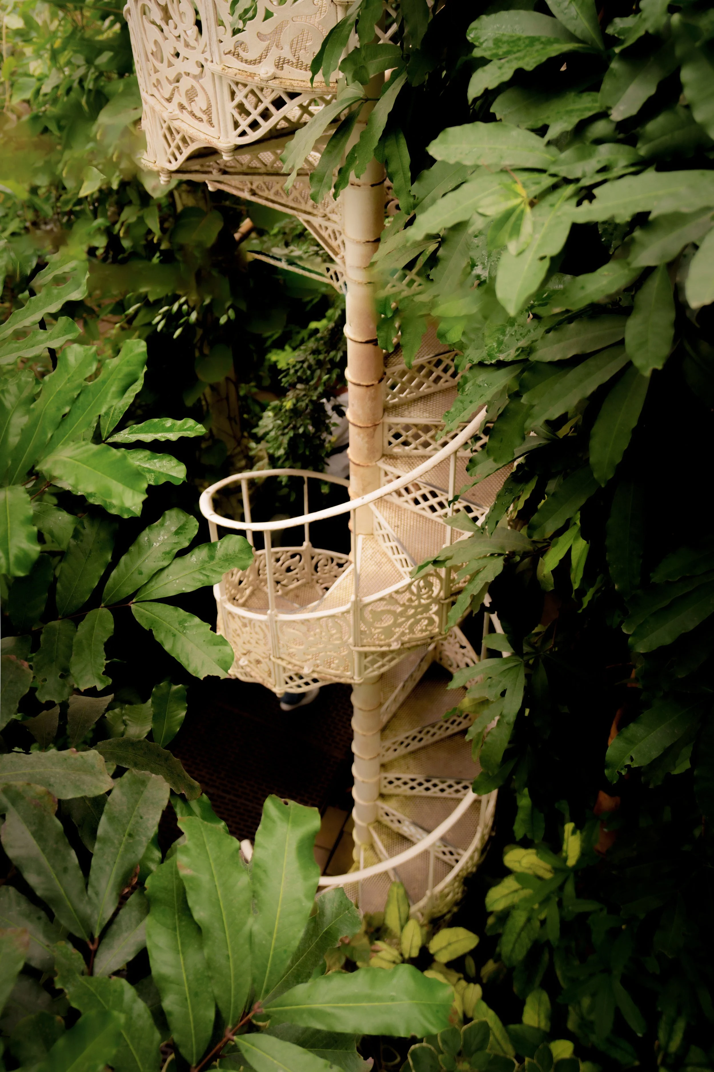 DSC08846-2.jpg