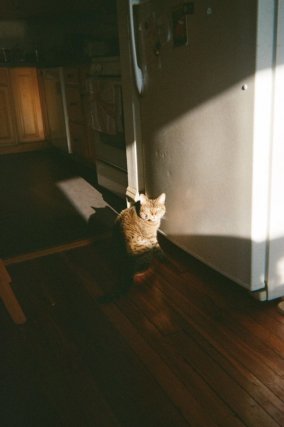 analog-4.jpg