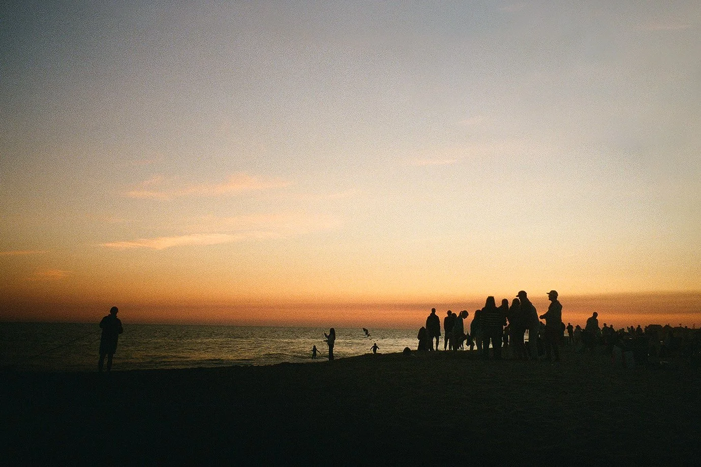 analog-15.jpg