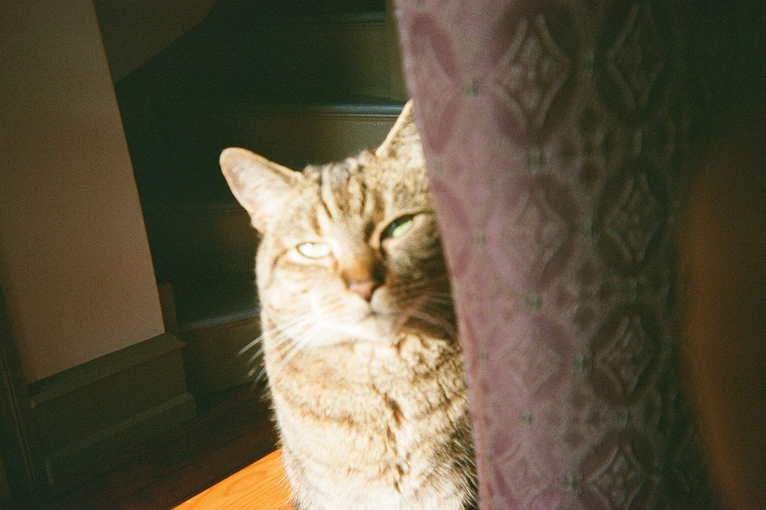 analog-5.jpg
