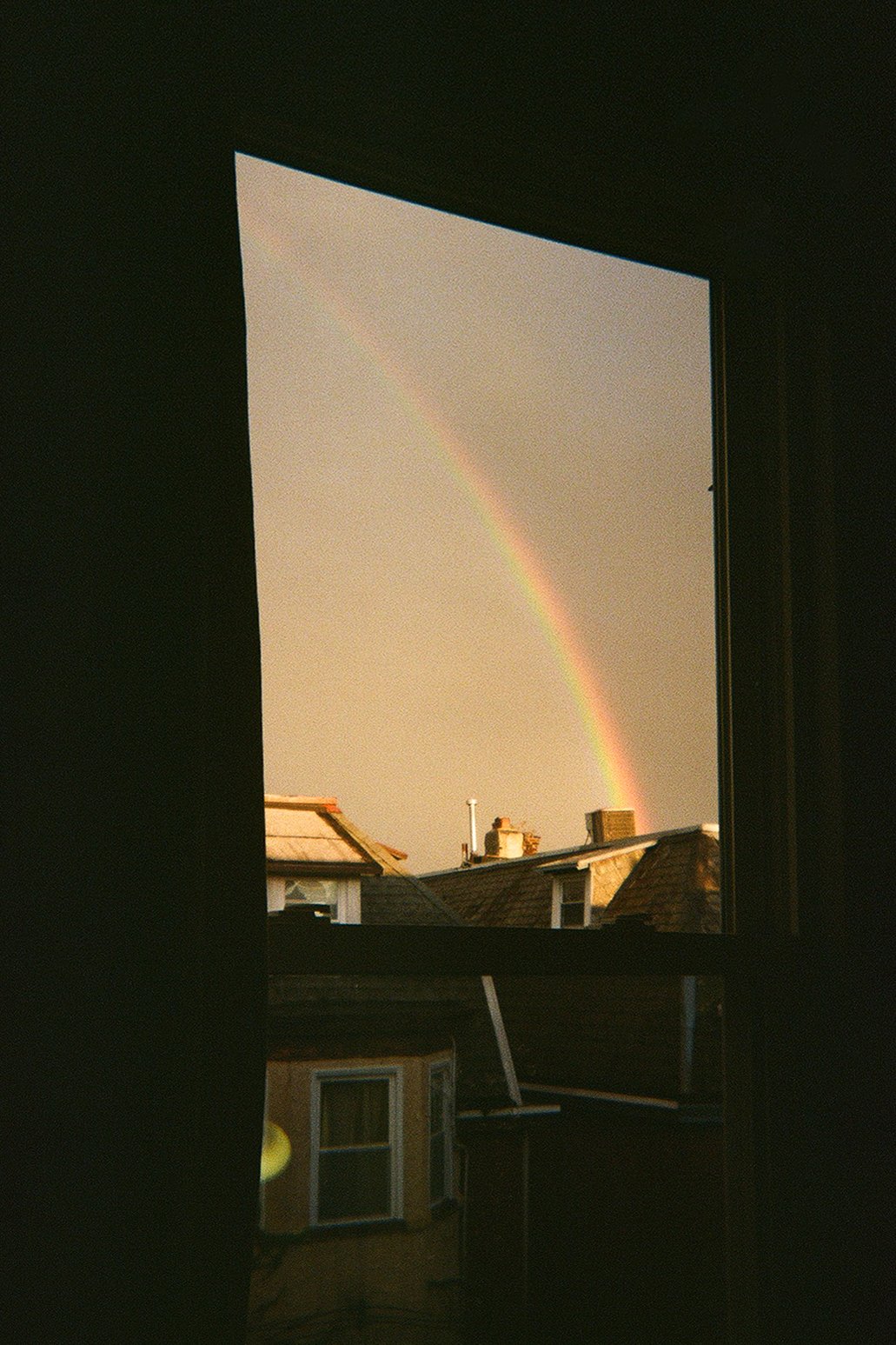analog-3.jpg