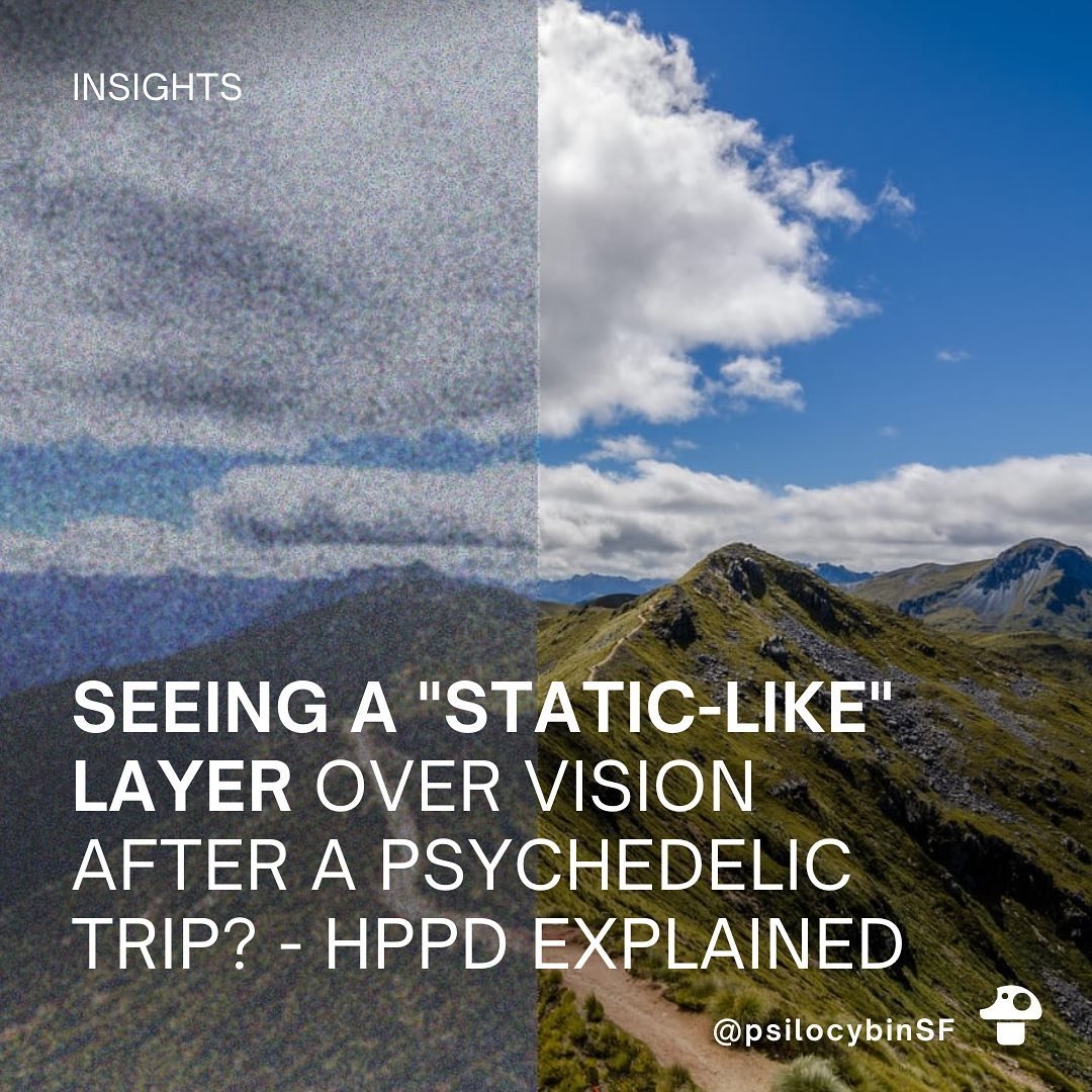Hallucinogen-persisting perception disorder (HPPD) is a condition that can occur after the use of hallucinogenic drugs such as LSD or psilocybin. 

Have you ever heard of someone with this condition?

Image source: https://lens.monash.edu