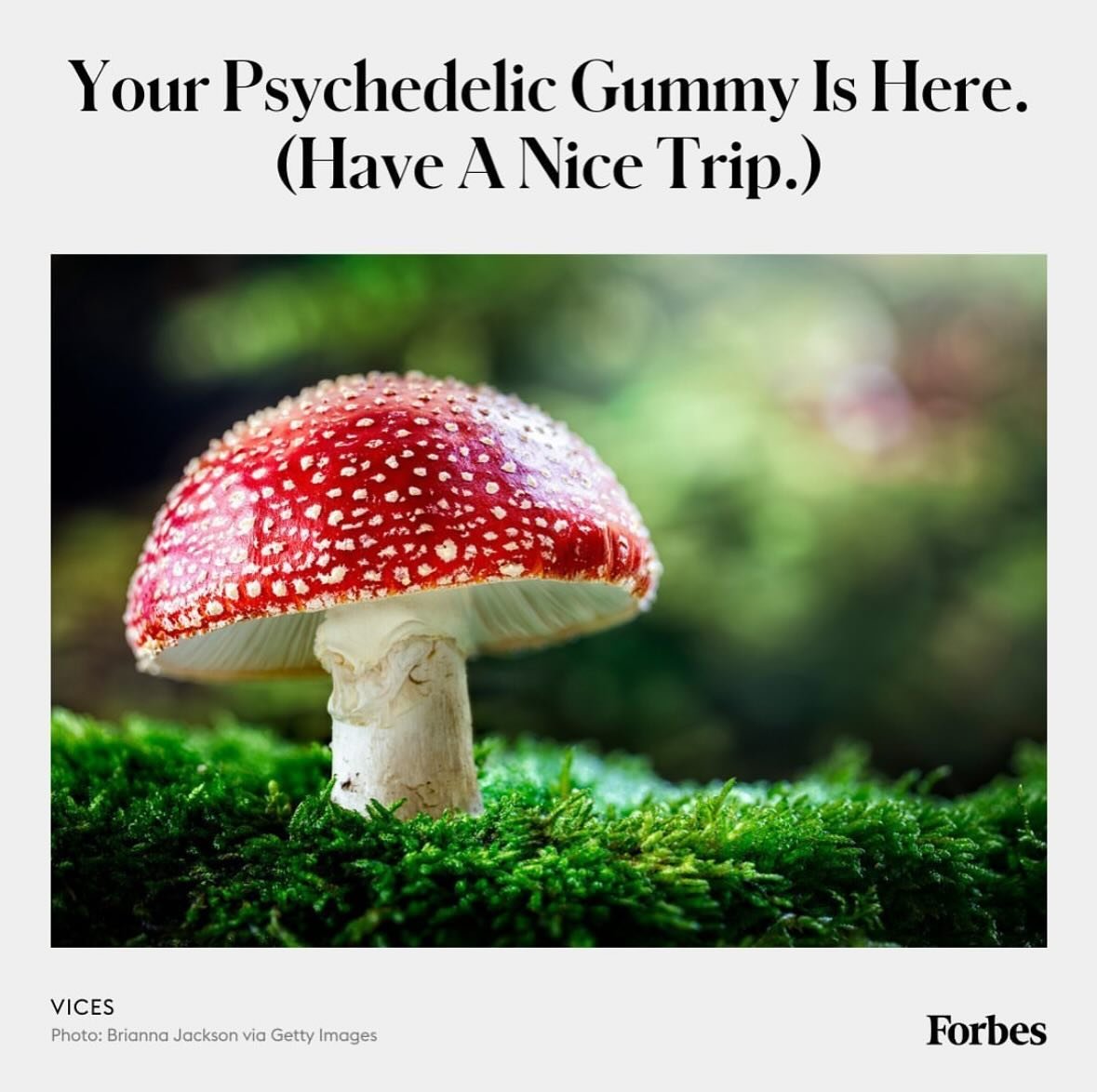 Magic mushroom edibles made with Amanita muscaria are on the rise thanks to a legal gray area.

Read more via @forbes