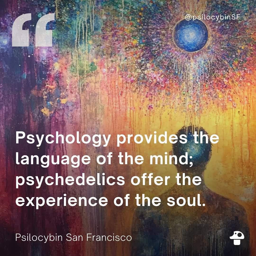 Psychology, as a discipline, offers tools, theories, and language to analyze and interpret the mind, emotions, and behavior, helping us to make sense of our inner worlds logically and systematically. Psychedelics, on the other hand, provide an experi