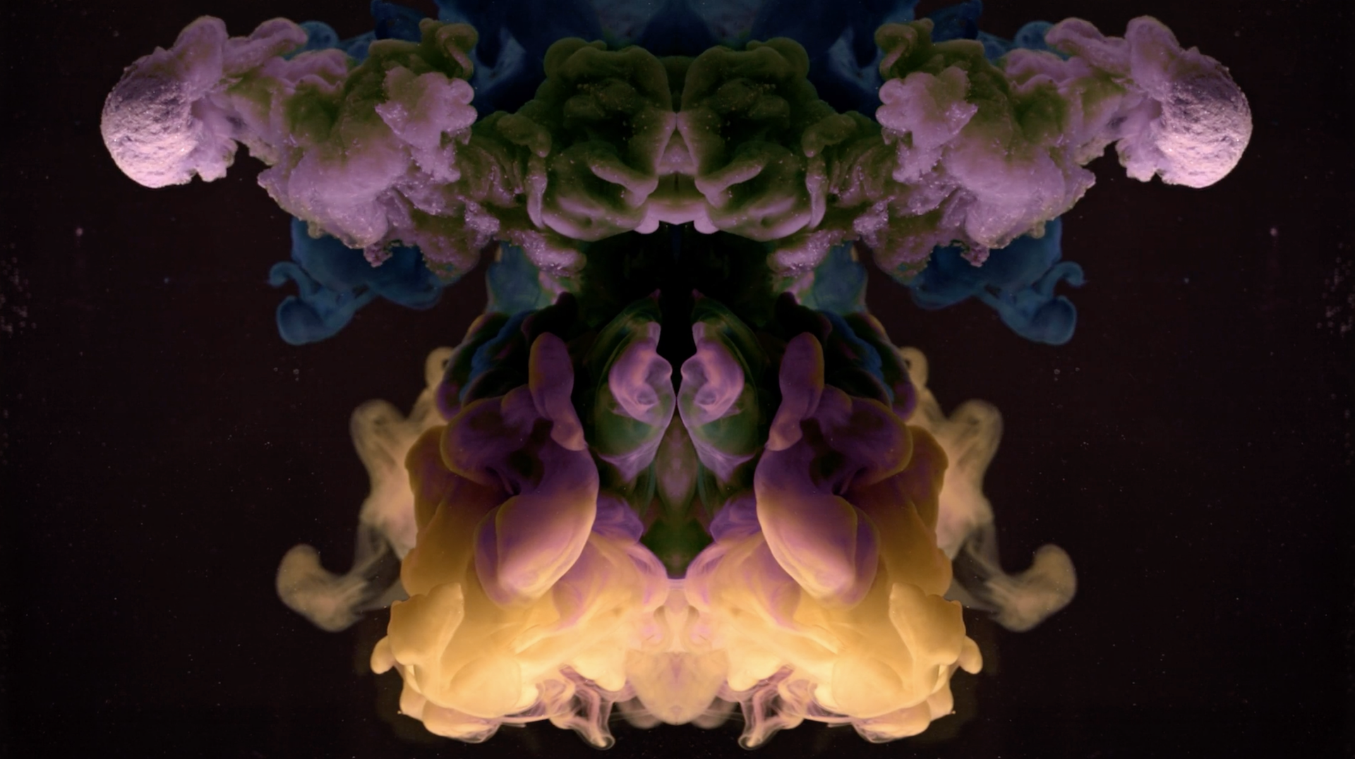 psilocybin-san-francisco_new2023.png