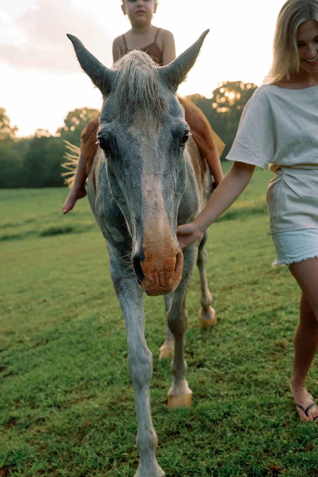 Lifestyle_Film_Family_Portraits180.jpg