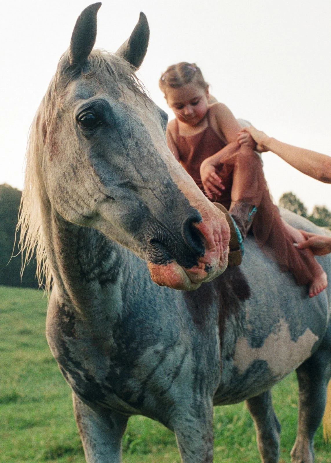 Lifestyle_Film_Family_Portraits156.jpg