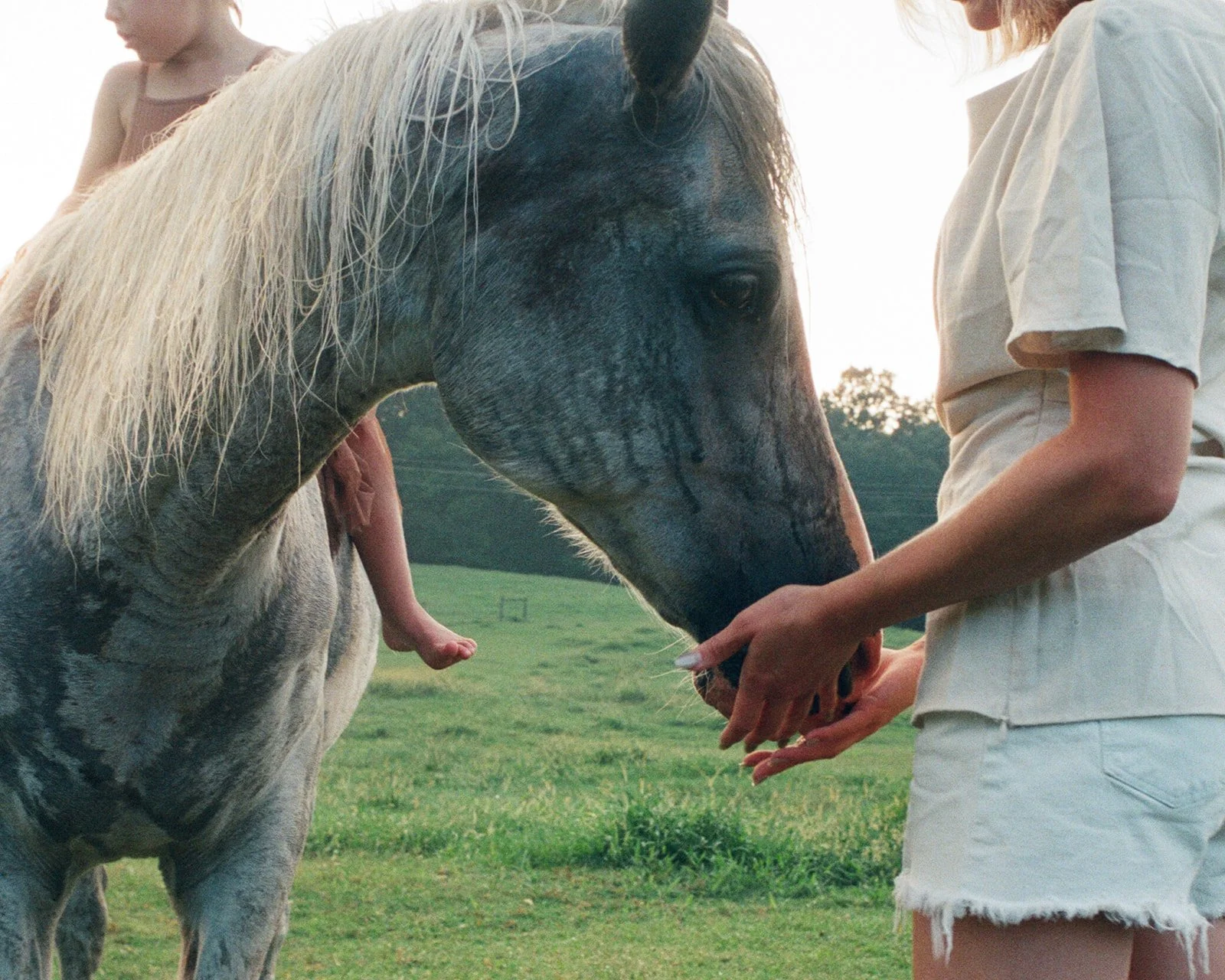 Lifestyle_Film_Family_Portraits203.jpg