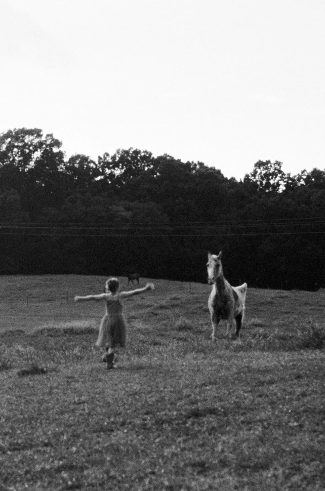 Lifestyle_Film_Family_Portraits128.jpg