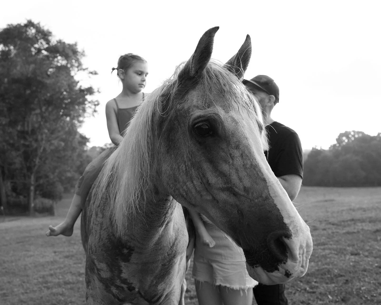 Lifestyle_Film_Family_Portraits217.jpg