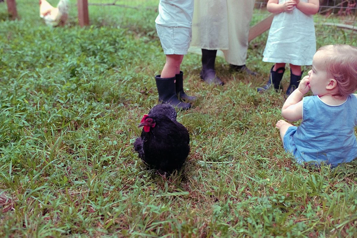 Kelsey_Mard_31Artful Family Photography on Private Land in Davidson, NC.jpg