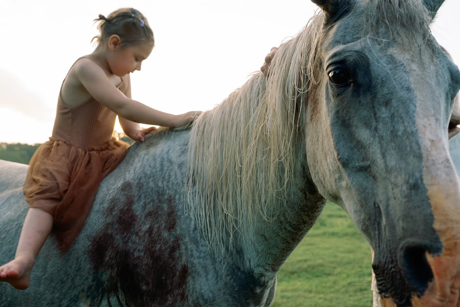 Lifestyle_Film_Family_Portraits184.jpg