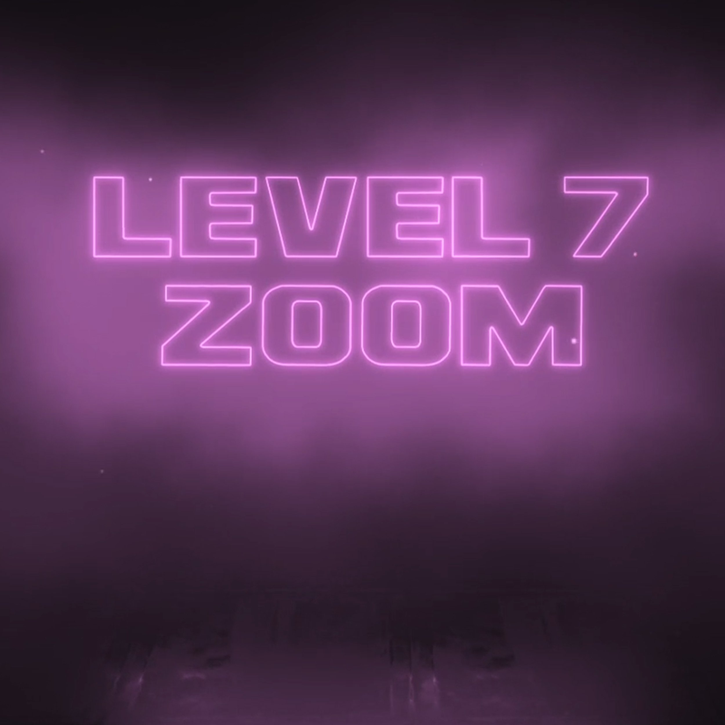 Level-7-Zoom.jpg