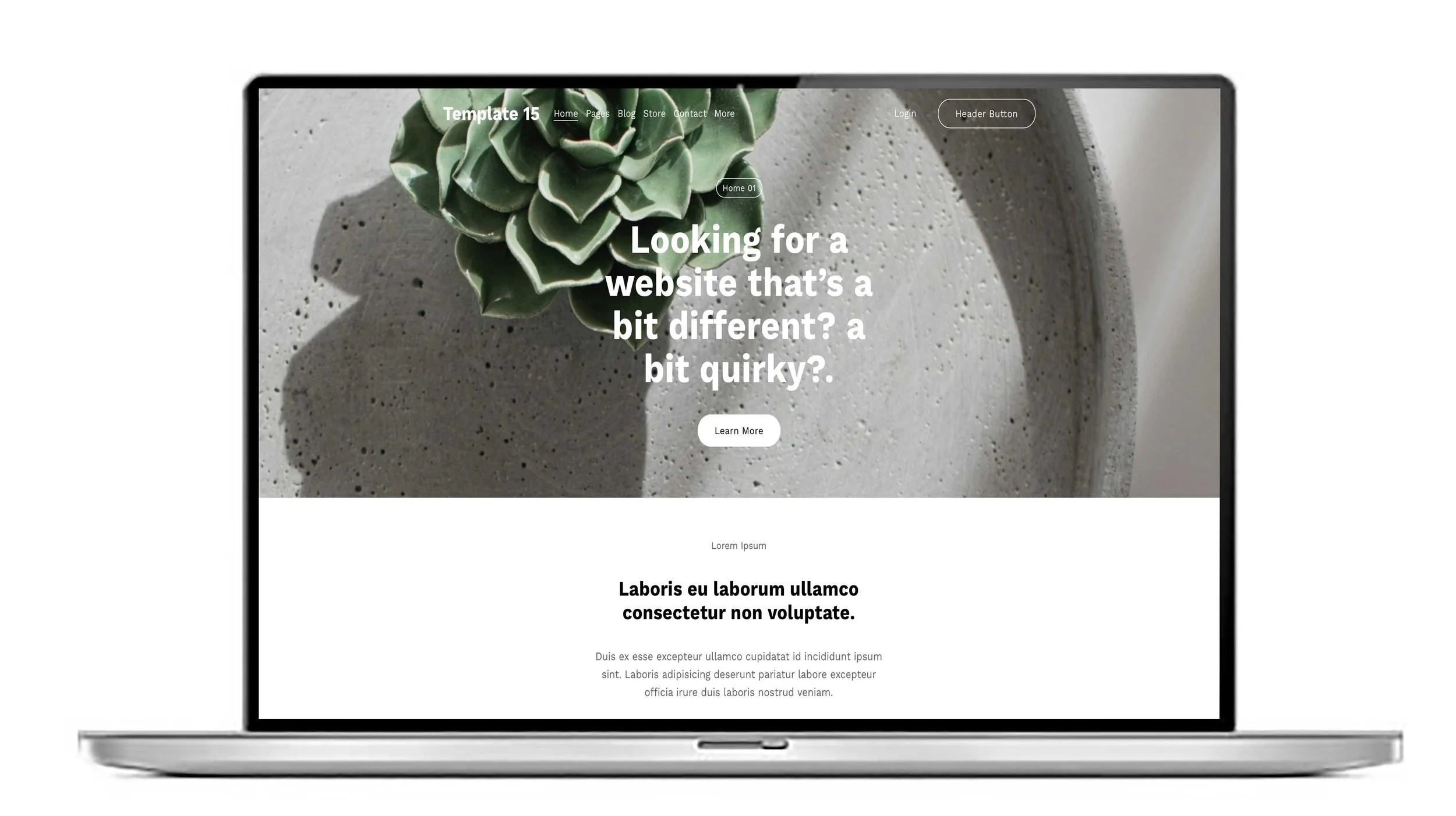 Our own Squarespace Templates for you to make your own.