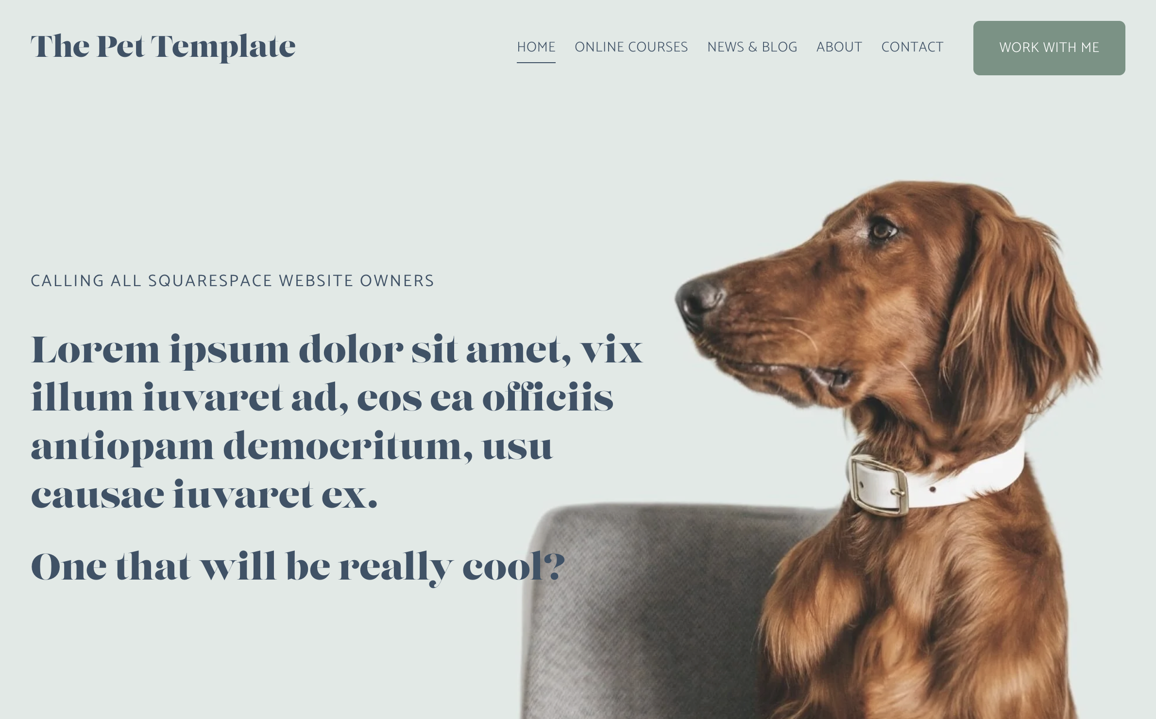 The Pet Template. Coming Soon!