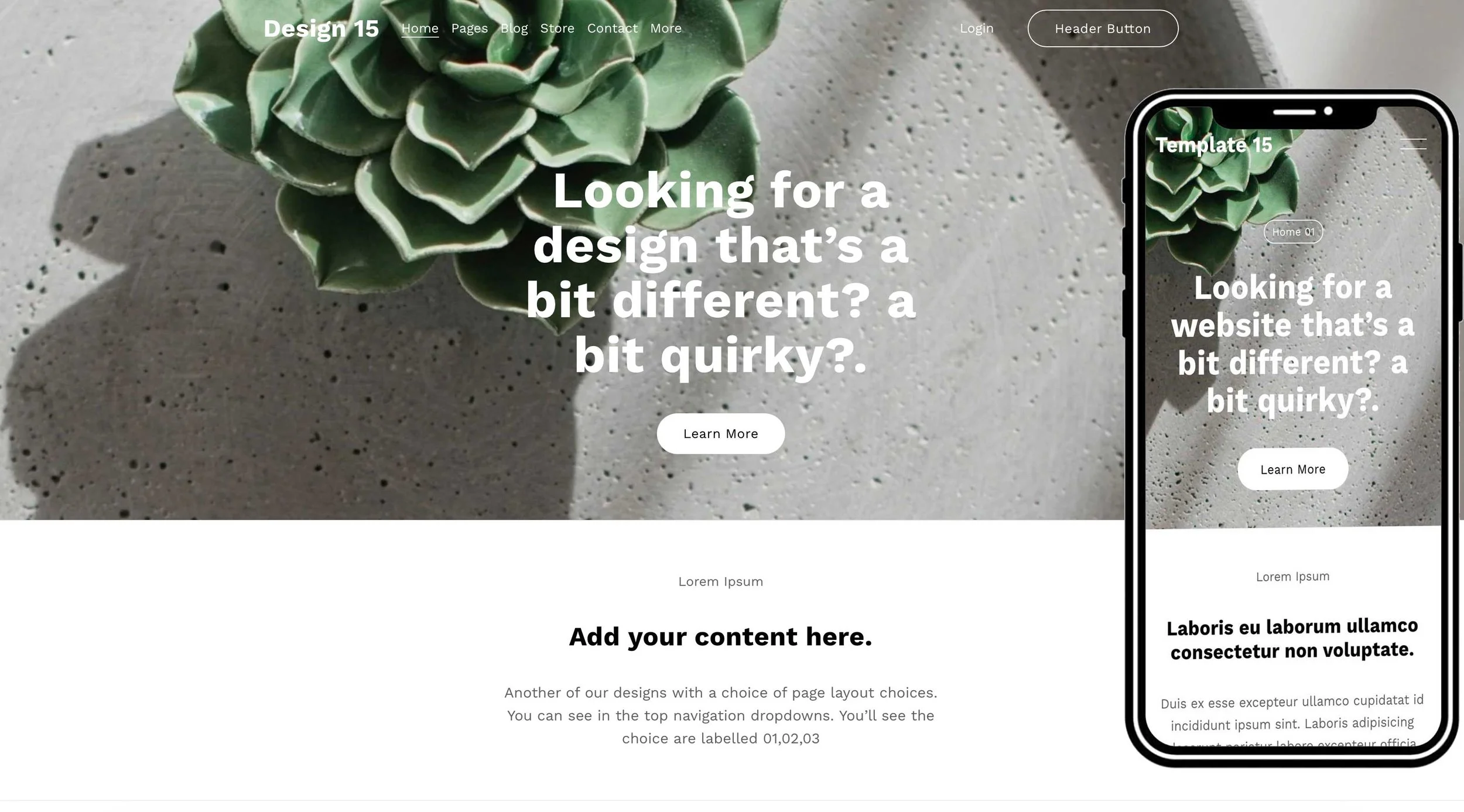 Squarespace cool templates