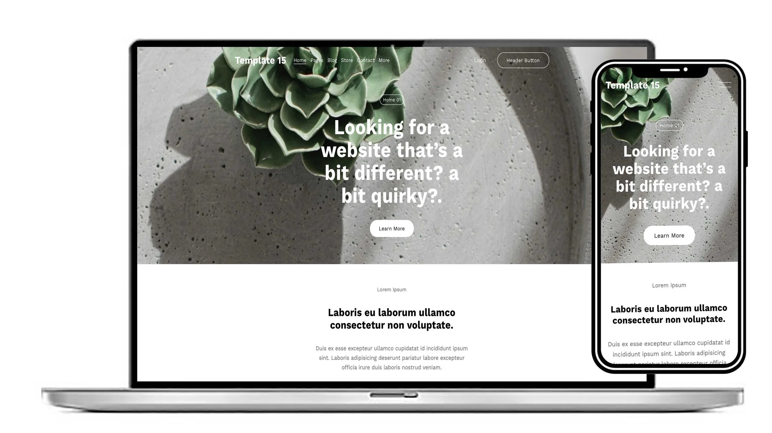 Squarespace website designers