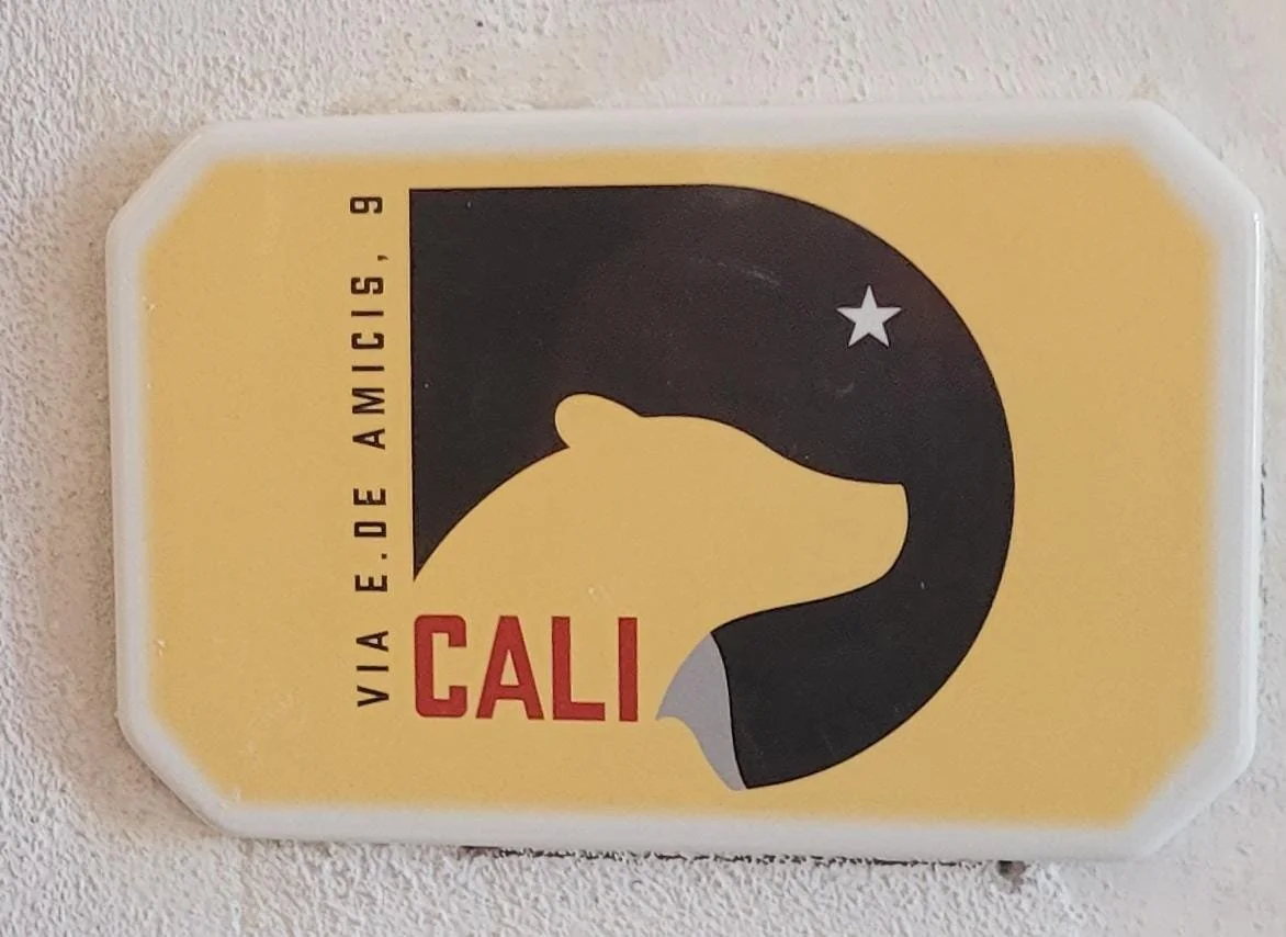 WhatsApp Image 2026-01-24 at 13.40.16 (1).jpeg